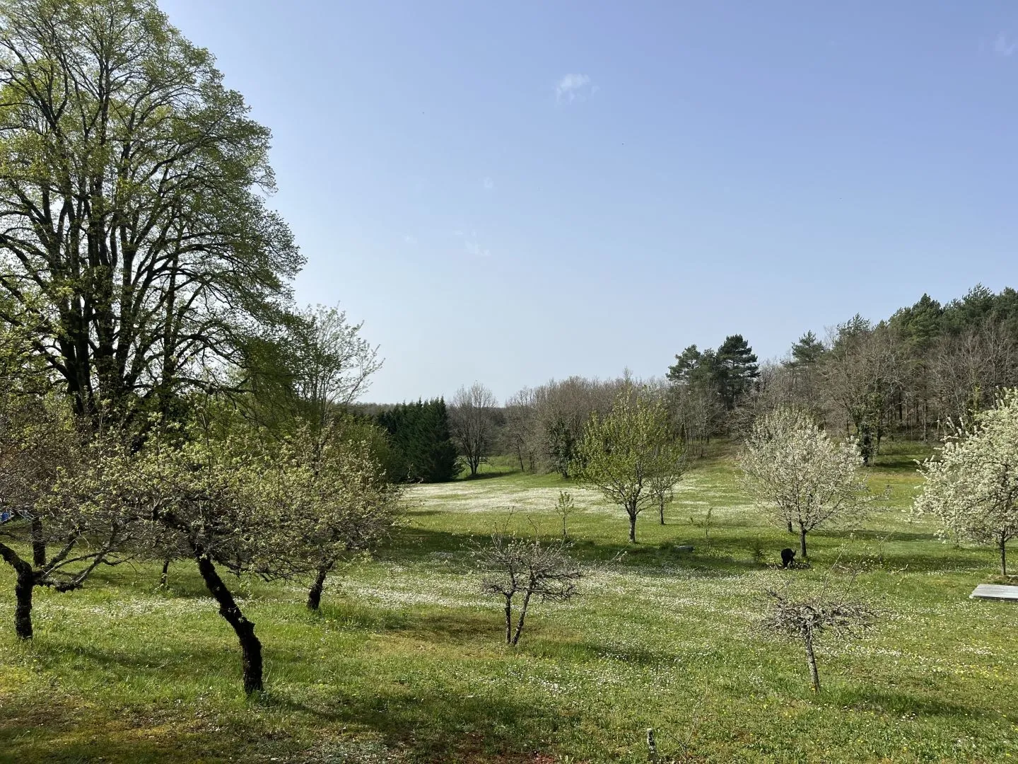 Expansive 4-Bedroom Country House with Gardens and Pool in Martel, France - View image 29 of 47