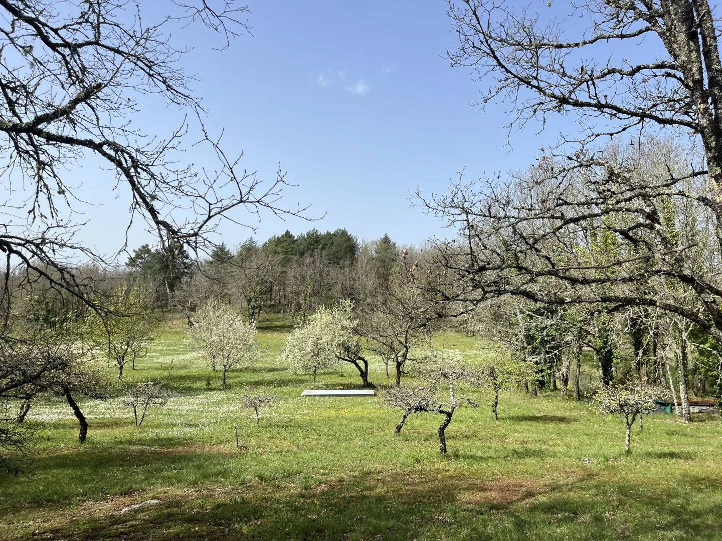 Expansive 4-Bedroom Country House with Gardens and Pool in Martel, France - View image 34 of 47