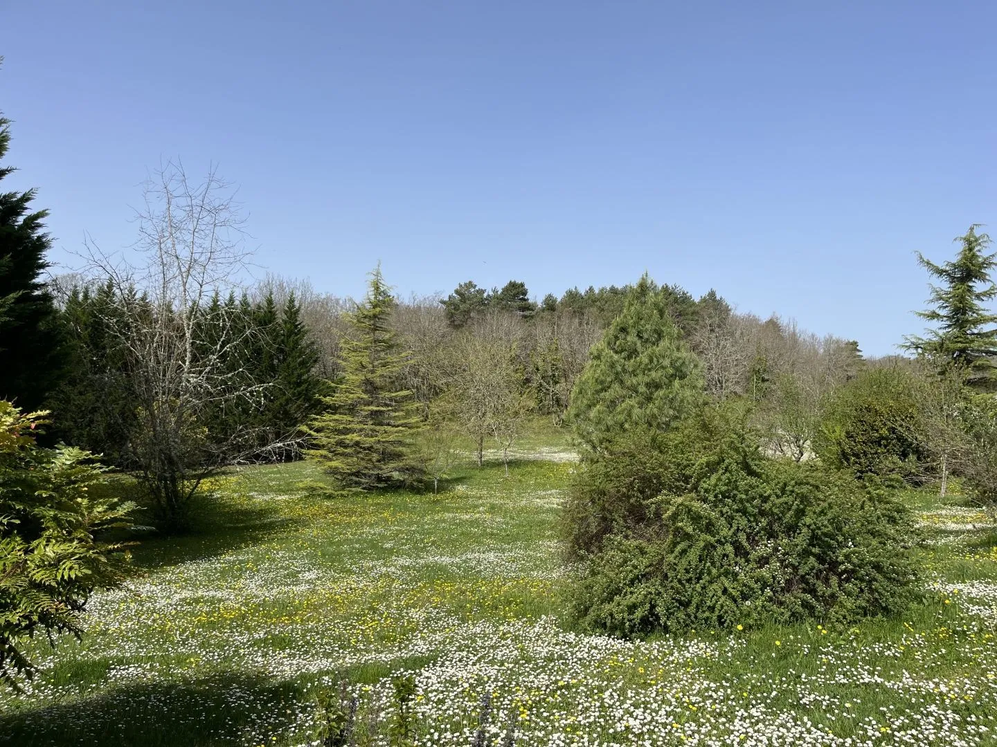 Expansive 4-Bedroom Country House with Gardens and Pool in Martel, France - View image 42 of 47