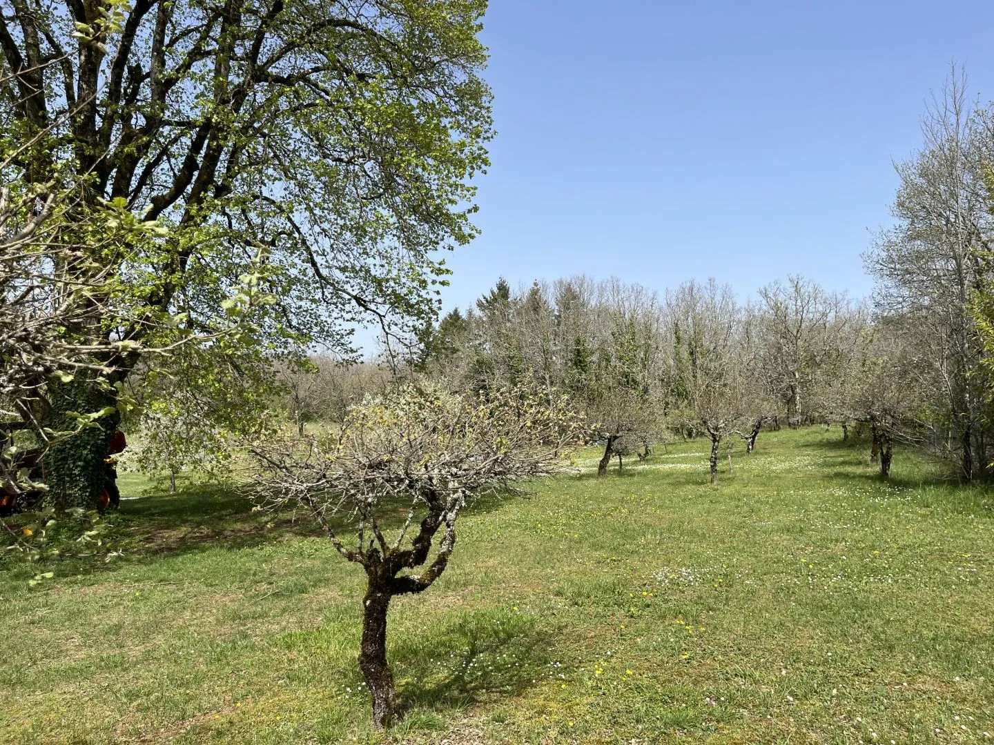 Expansive 4-Bedroom Country House with Gardens and Pool in Martel, France - View image 44 of 47