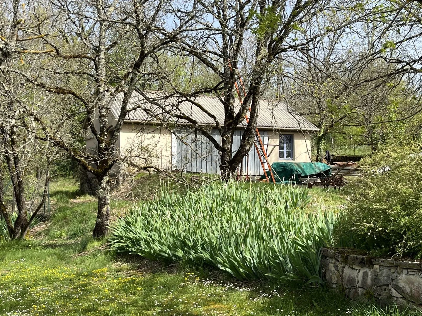 Expansive 4-Bedroom Country House with Gardens and Pool in Martel, France - View image 46 of 47