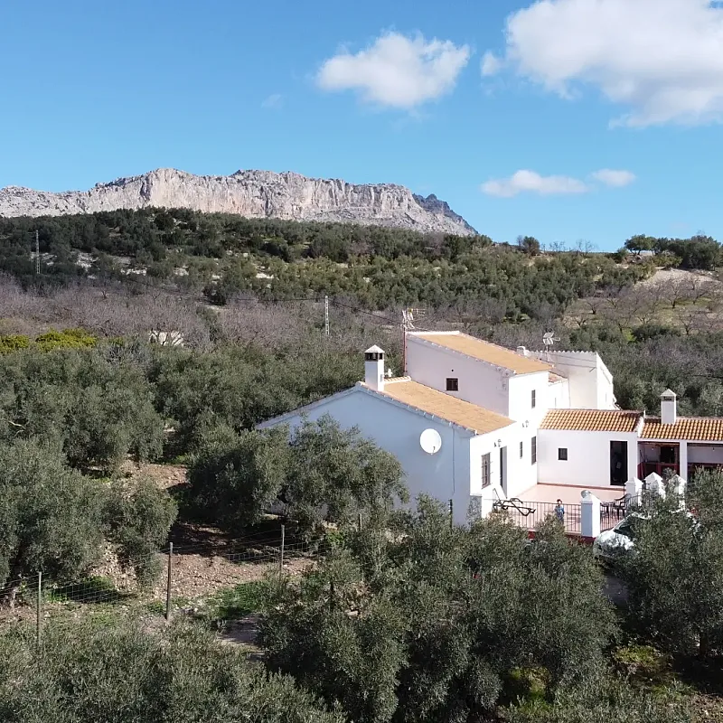 Spacious 3-Bedroom House with Expansive Garden in Scenic Antequera