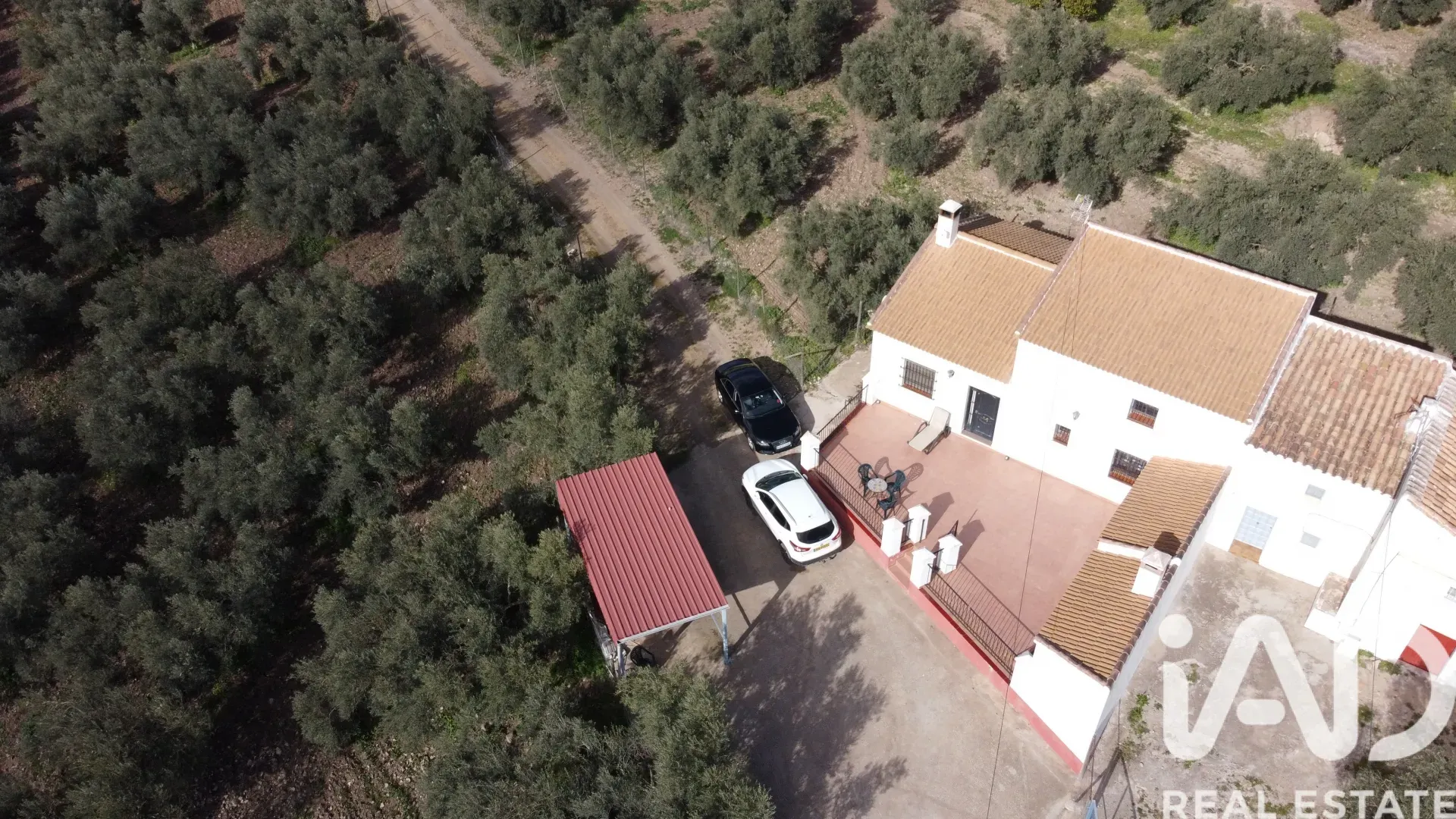 Spacious 3-Bedroom House with Expansive Garden in Scenic Antequera - View image 17 of 34