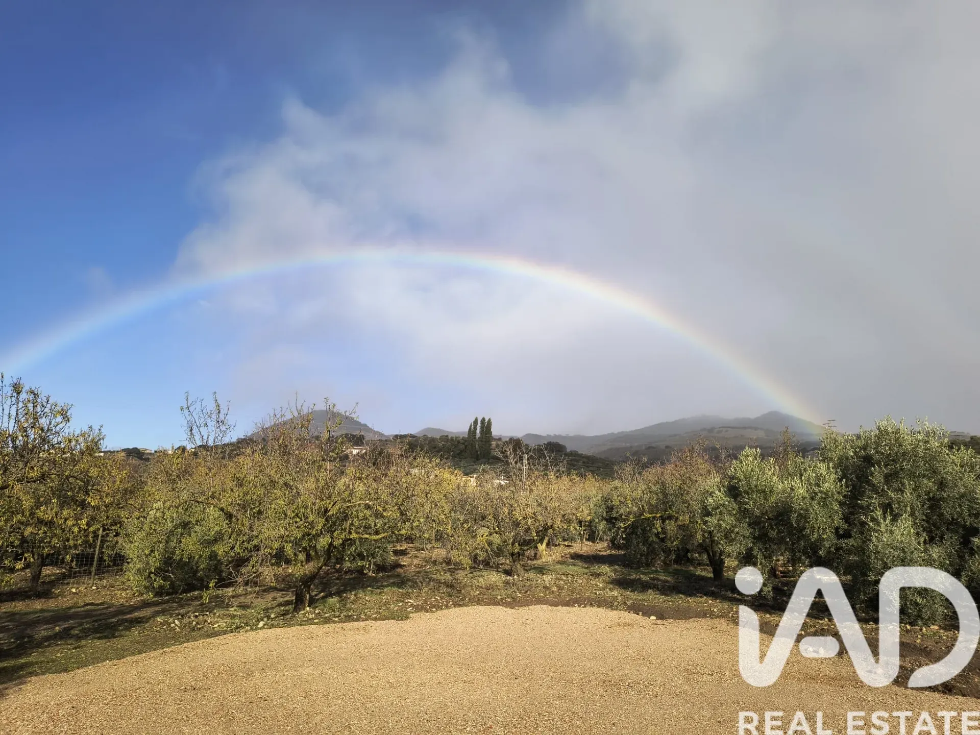 Spacious 3-Bedroom House with Expansive Garden in Scenic Antequera - View image 26 of 34