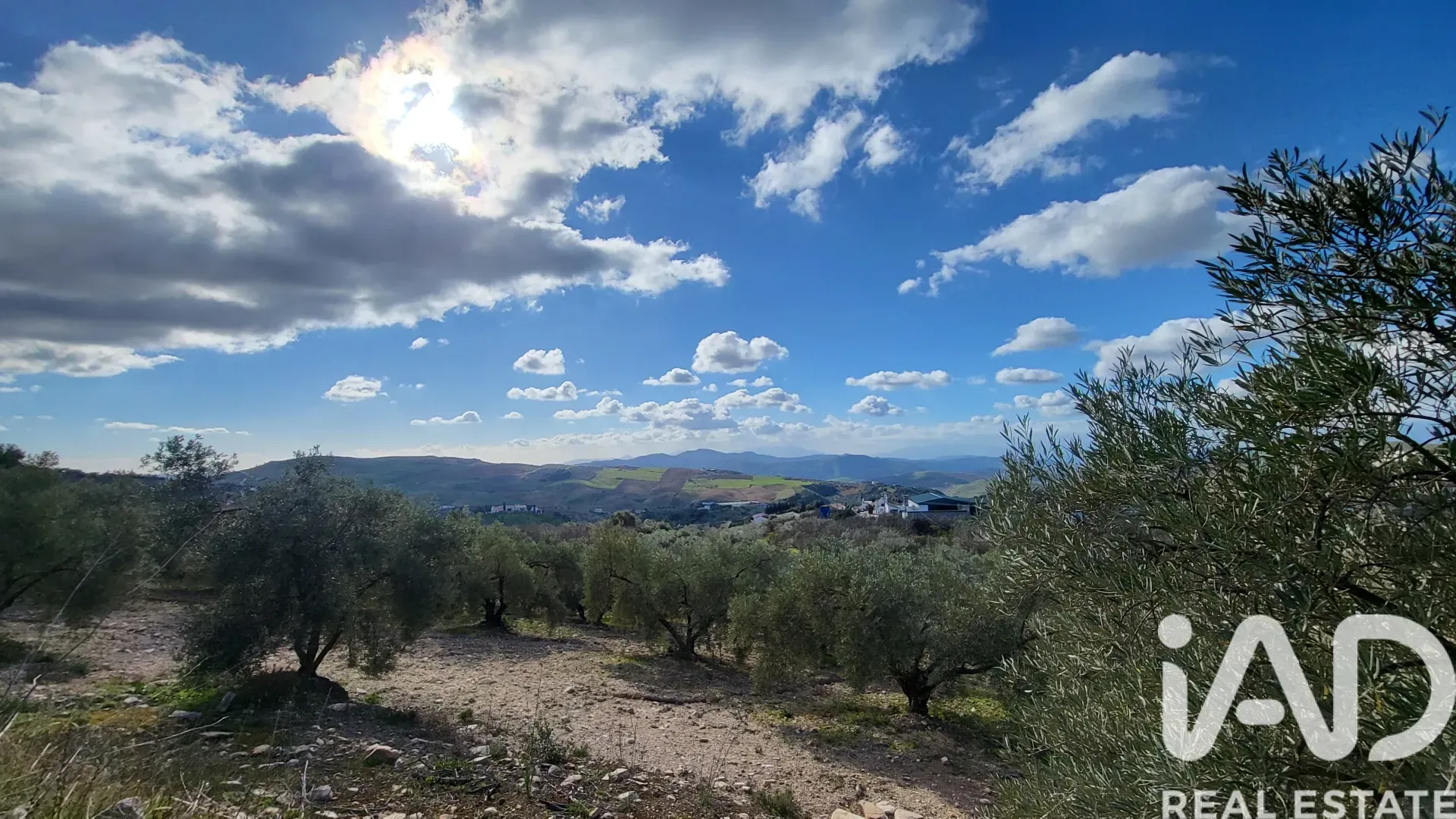 Spacious 3-Bedroom House with Expansive Garden in Scenic Antequera - View image 28 of 34