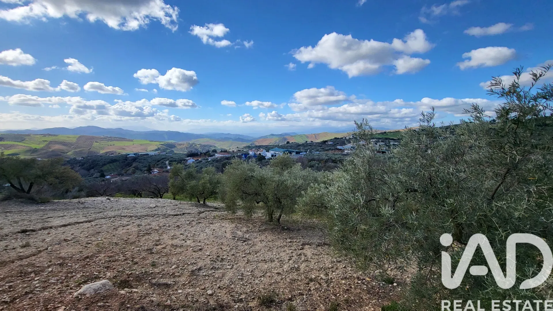 Spacious 3-Bedroom House with Expansive Garden in Scenic Antequera - View image 29 of 34