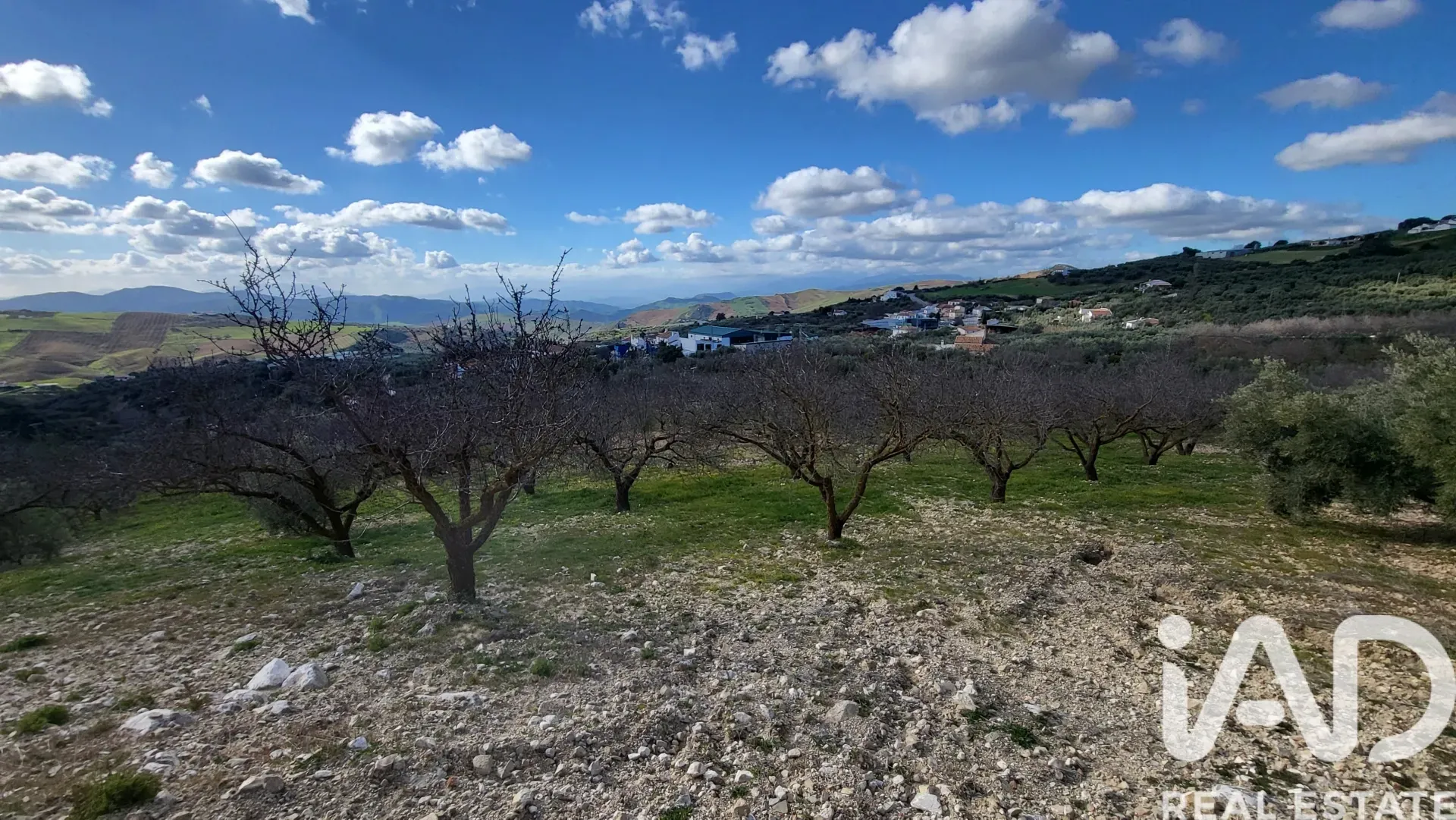 Spacious 3-Bedroom House with Expansive Garden in Scenic Antequera - View image 30 of 34