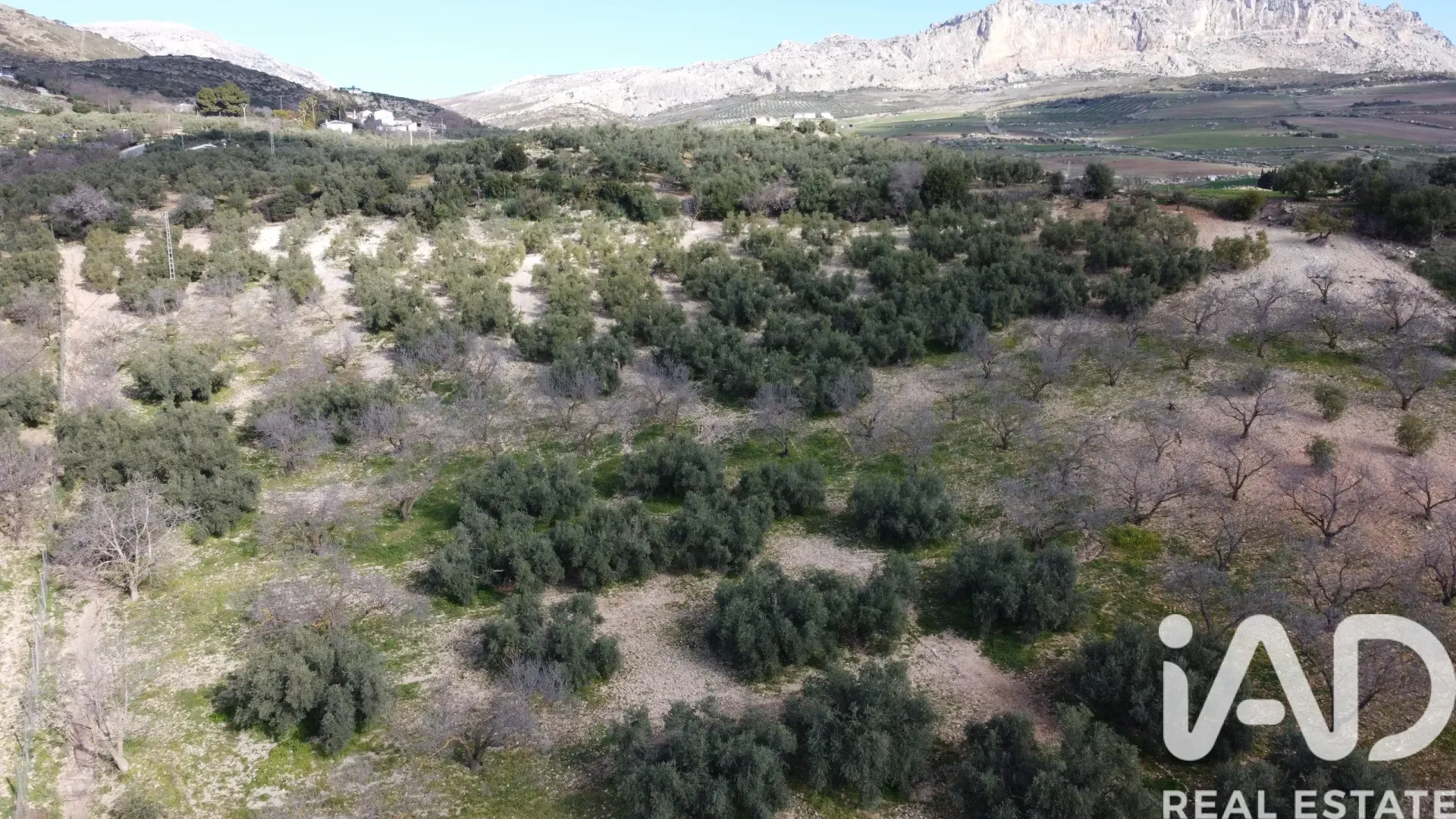 Spacious 3-Bedroom House with Expansive Garden in Scenic Antequera - View image 33 of 34