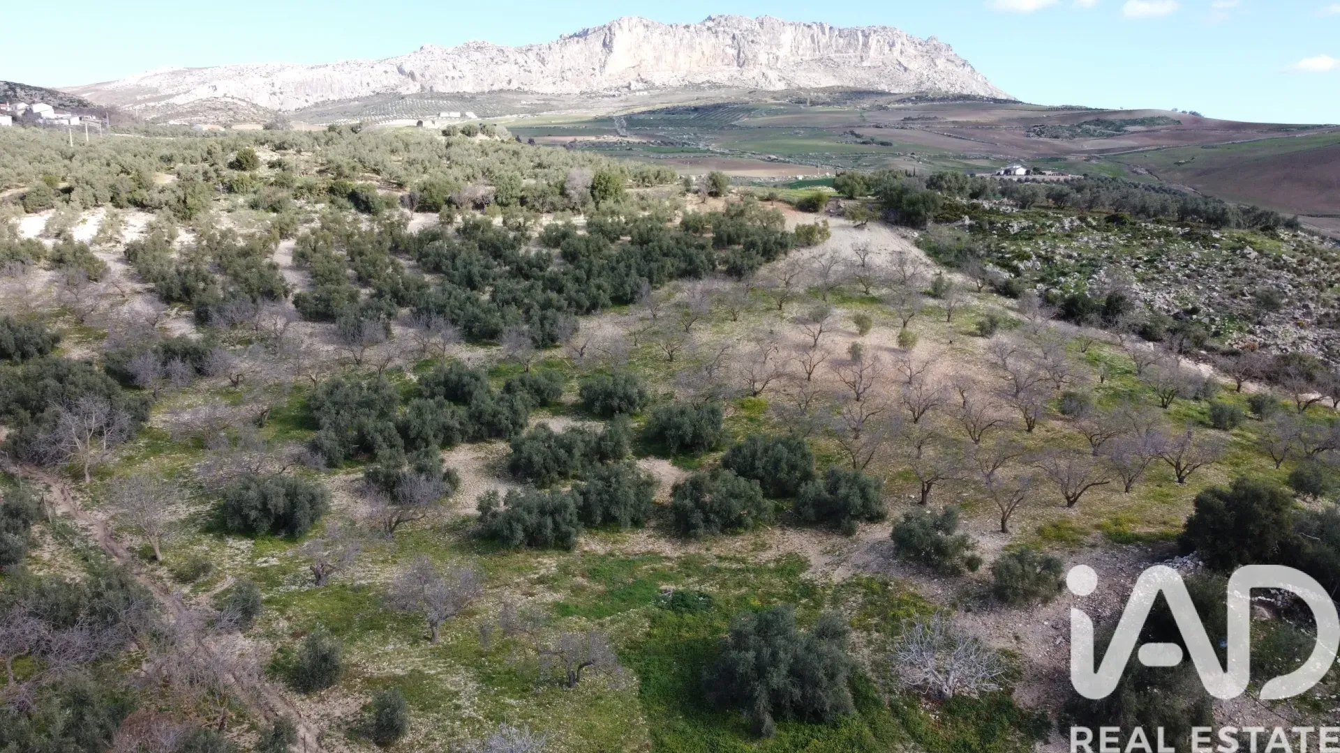 Spacious 3-Bedroom House with Expansive Garden in Scenic Antequera - View image 34 of 34