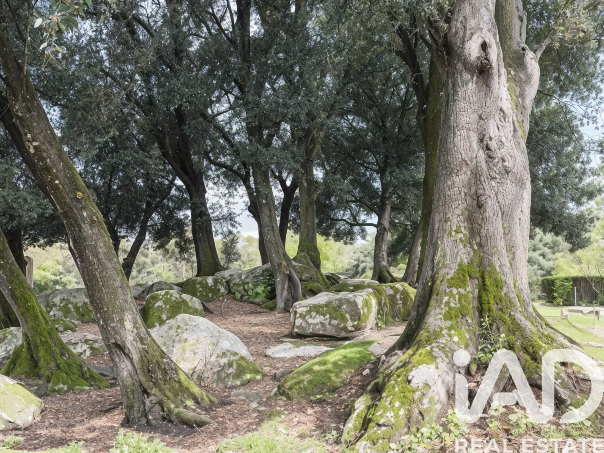 4-Bedroom Family Home with Garden and Pool in Arbúcies, Spain - View image 35 of 40