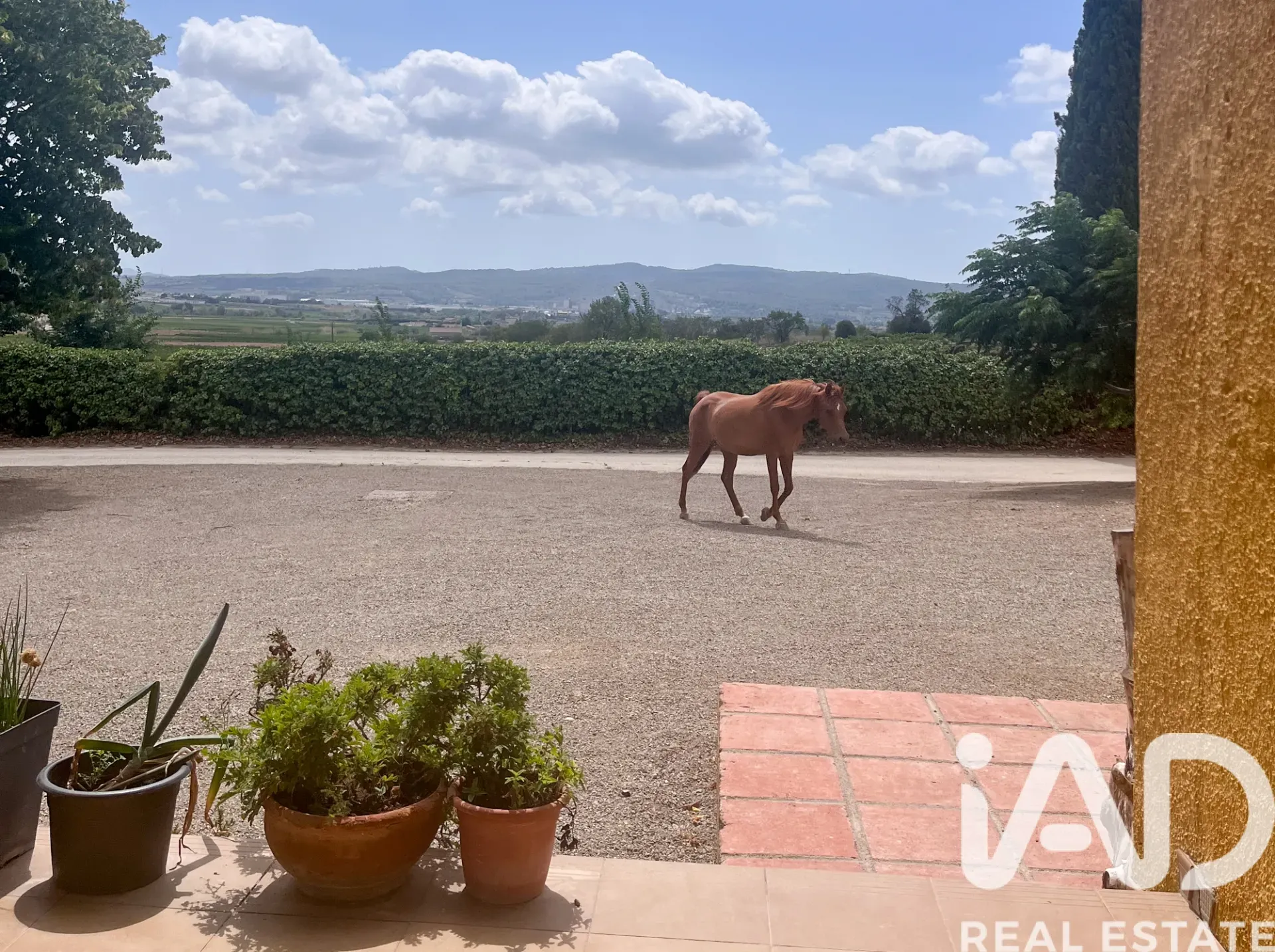 Spacious 1970s Home with Expansive Grounds and Pool in Castellví de la Marca - View image 11 of 39