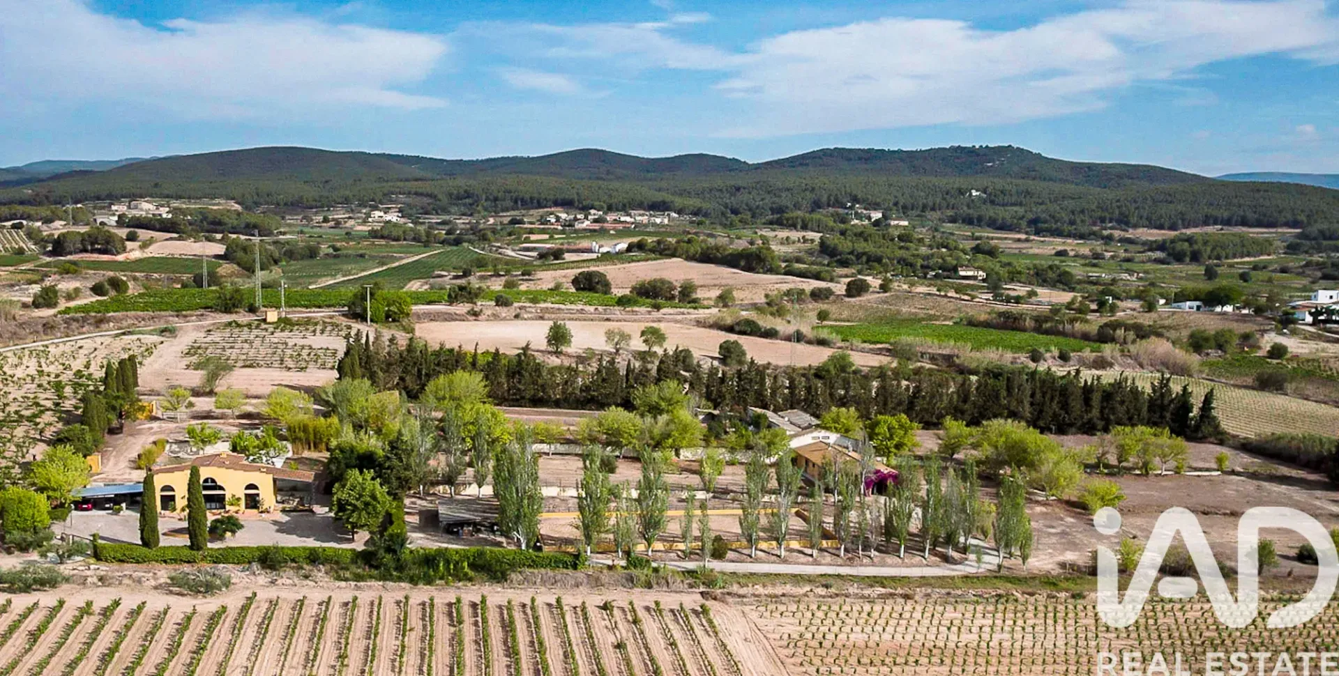 Spacious 1970s Home with Expansive Grounds and Pool in Castellví de la Marca - View image 32 of 39