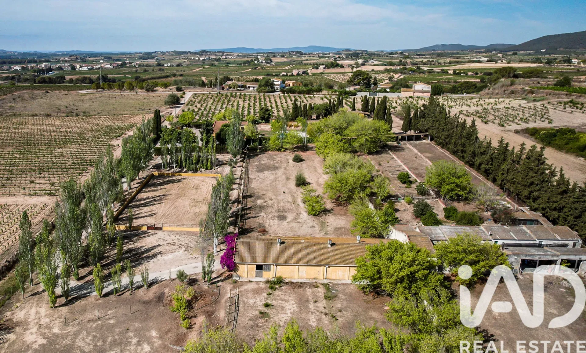 Spacious 1970s Home with Expansive Grounds and Pool in Castellví de la Marca - View image 34 of 39