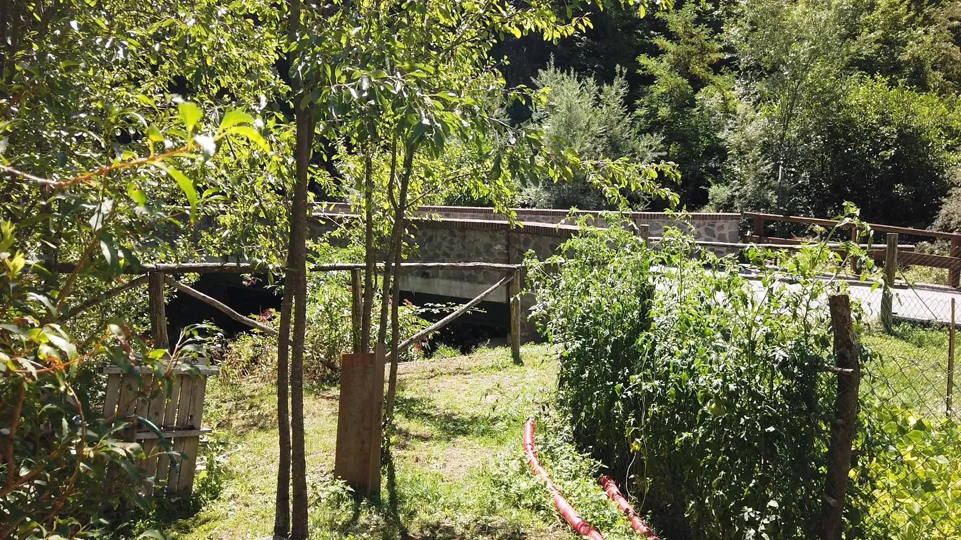 Affordable Two-Bedroom House with Garden in Historic Castiglione di Garfagnana - View image 11 of 18