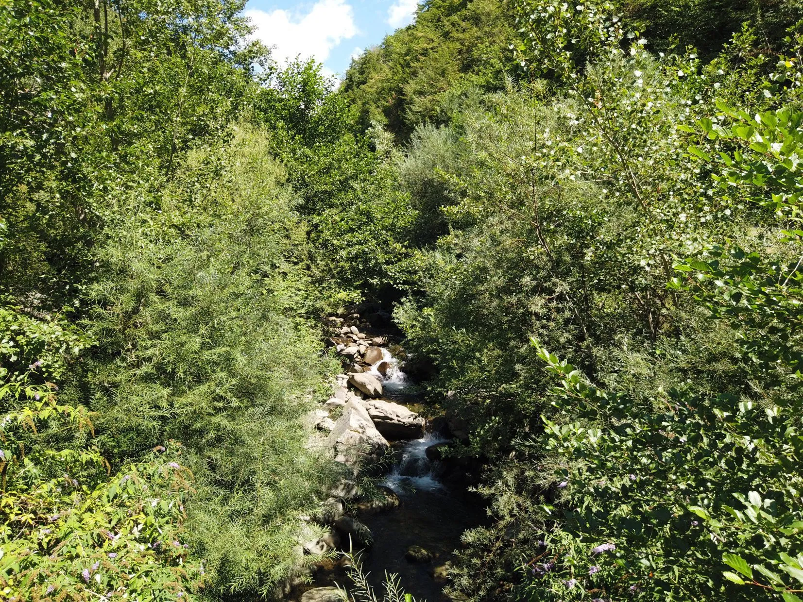 Affordable Two-Bedroom House with Garden in Historic Castiglione di Garfagnana - View image 12 of 18