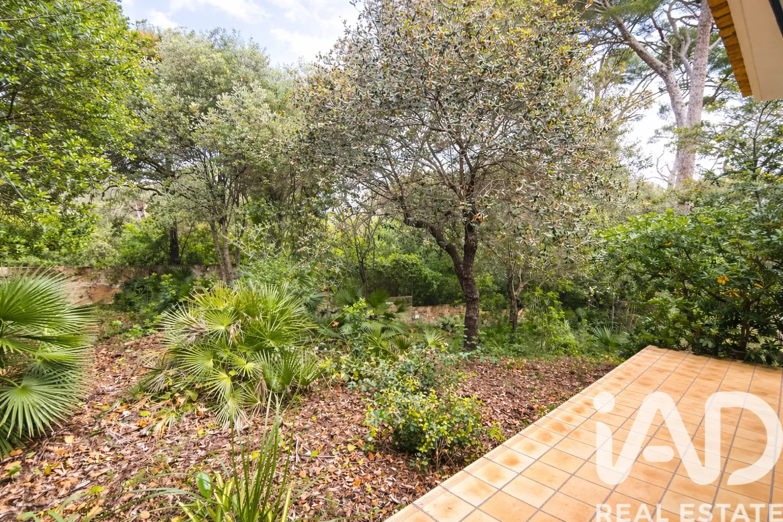 Spacious 1990s Villa with Pool and Gardens in Capdepera, Balearic Islands - View image 28 of 31