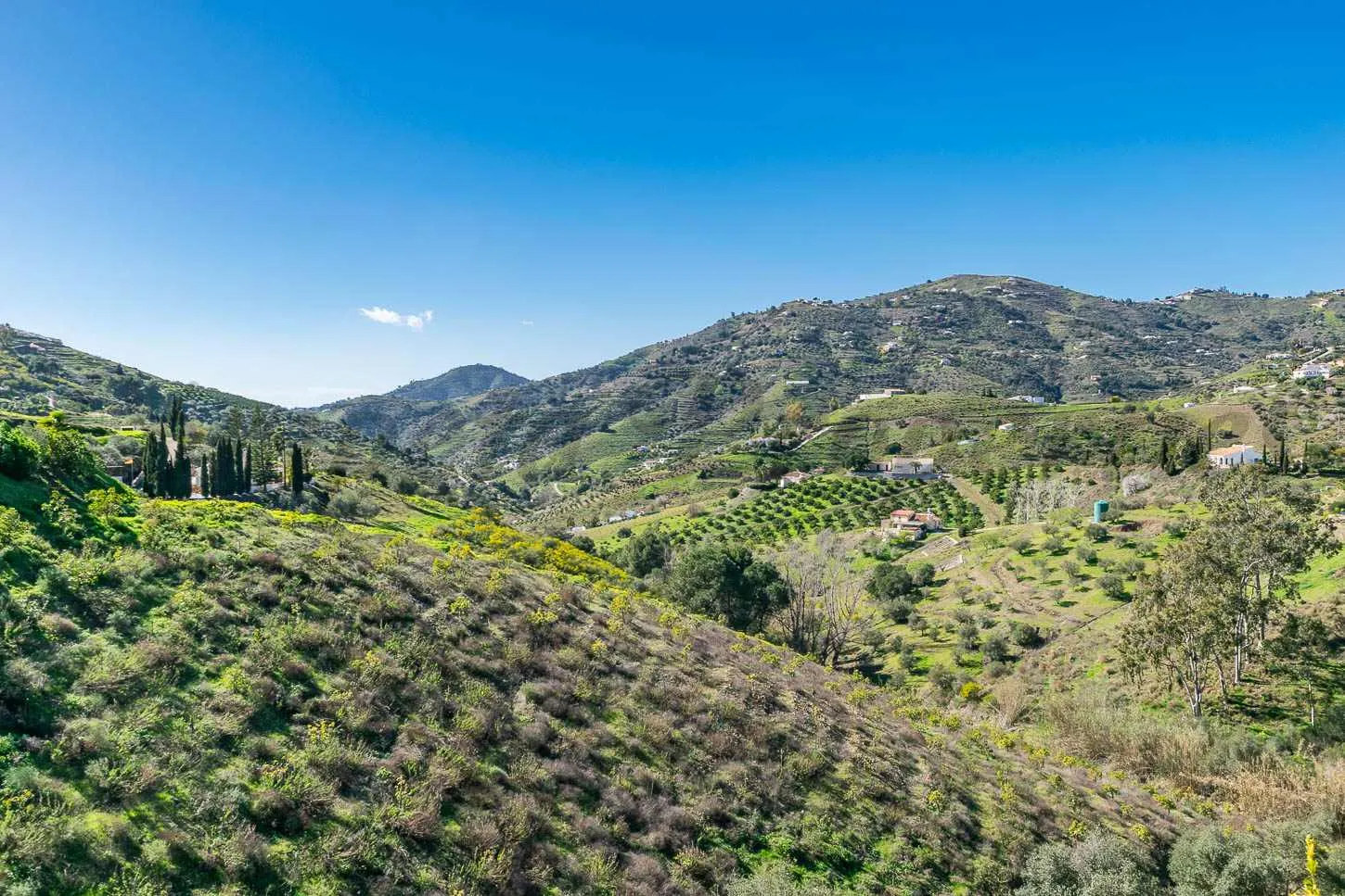Andalusian Country House with Pool and Expansive Grounds in Cómpeta - View image 7 of 17