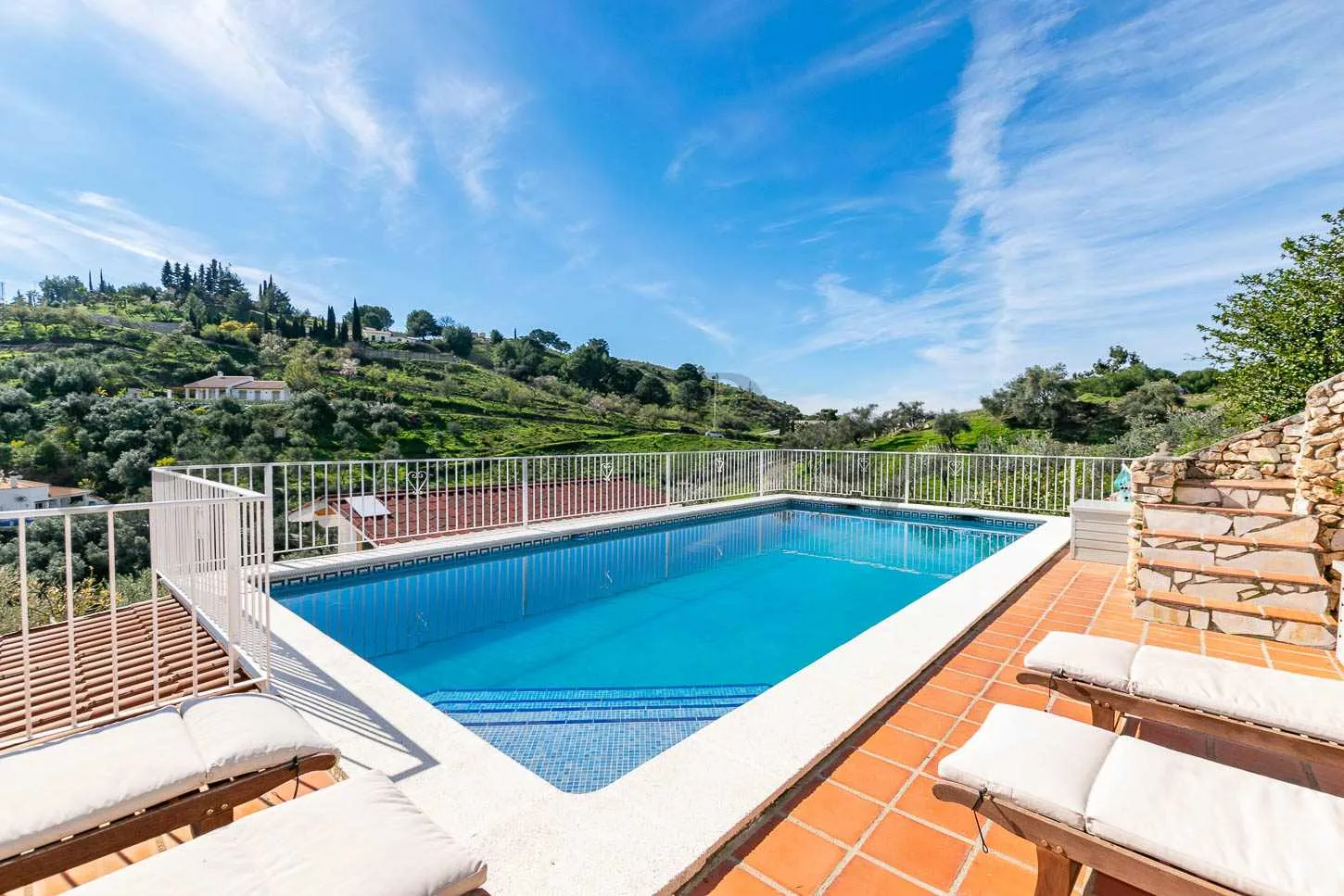 Andalusian Country House with Pool and Gardens in Cómpeta - Image 2