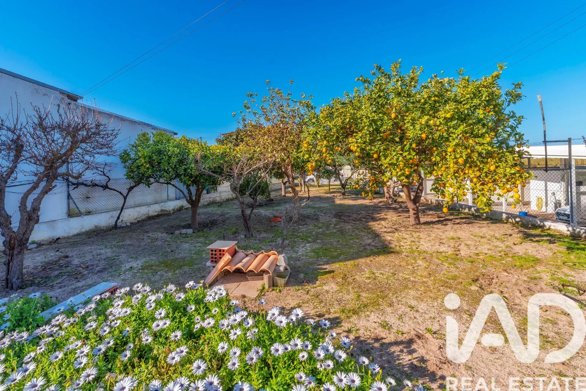 Spacious 7-Bedroom Home with Expansive Garden in Faro - View image 30 of 36