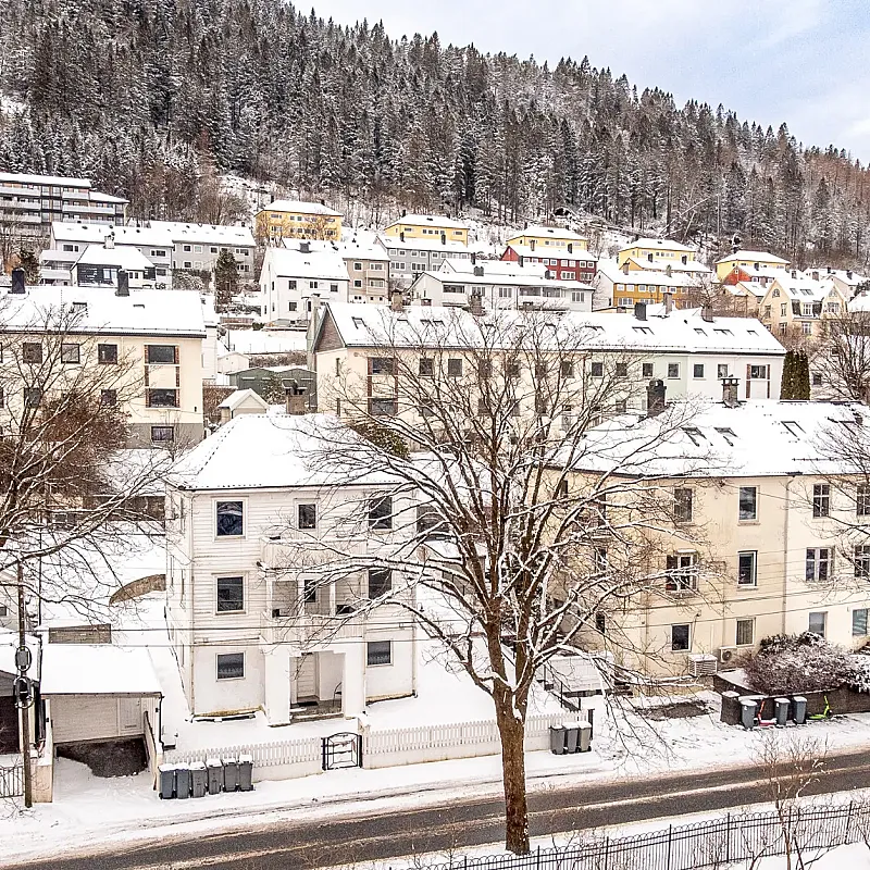 1929 Bergen Townhouse with Rental Income and Sunlit Balconies