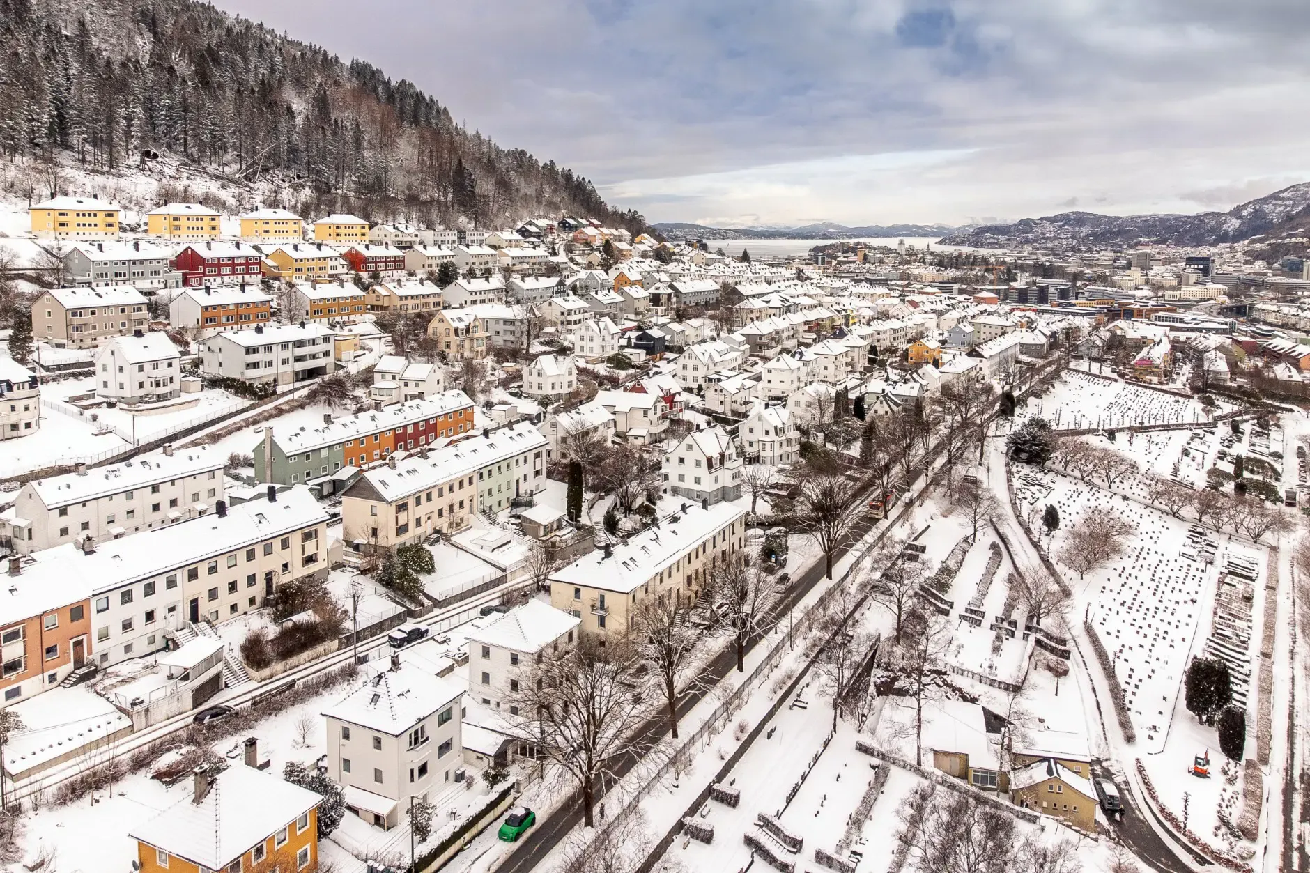 1929 Bergen Townhouse with Rental Income and Sunlit Balconies - View image 46 of 51