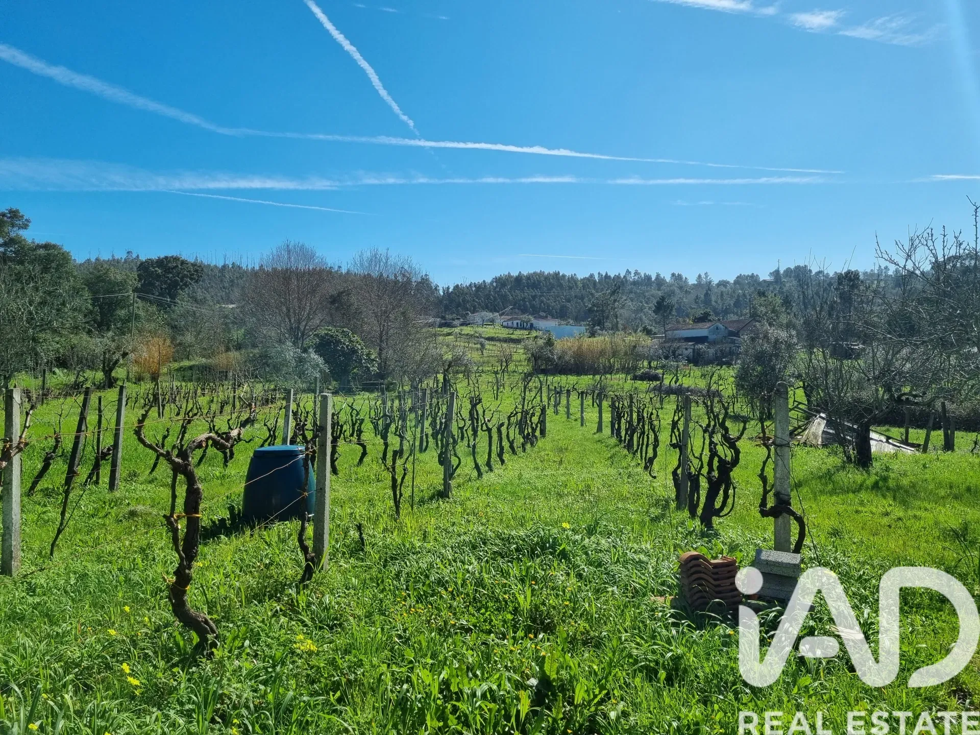 1980s Two-Bedroom Home with Expansive Garden in São Miguel de Poiares - View image 40 of 40