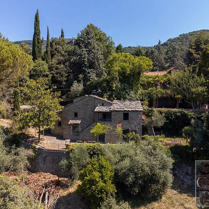View image 4