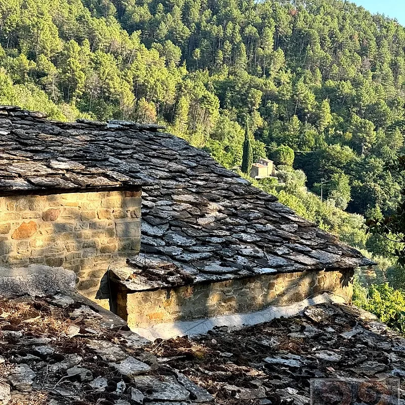 View image 10
