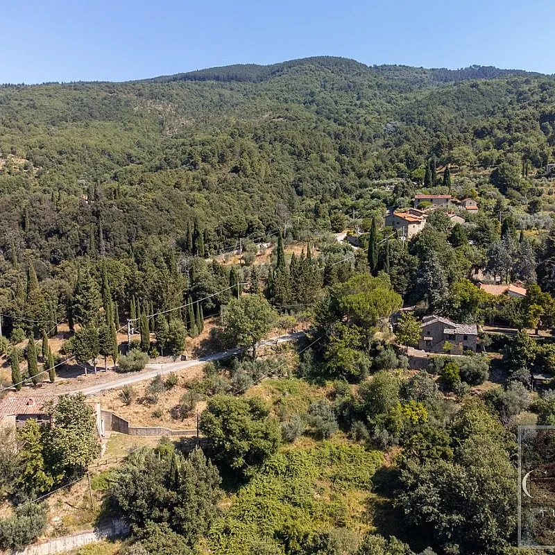 View image 24