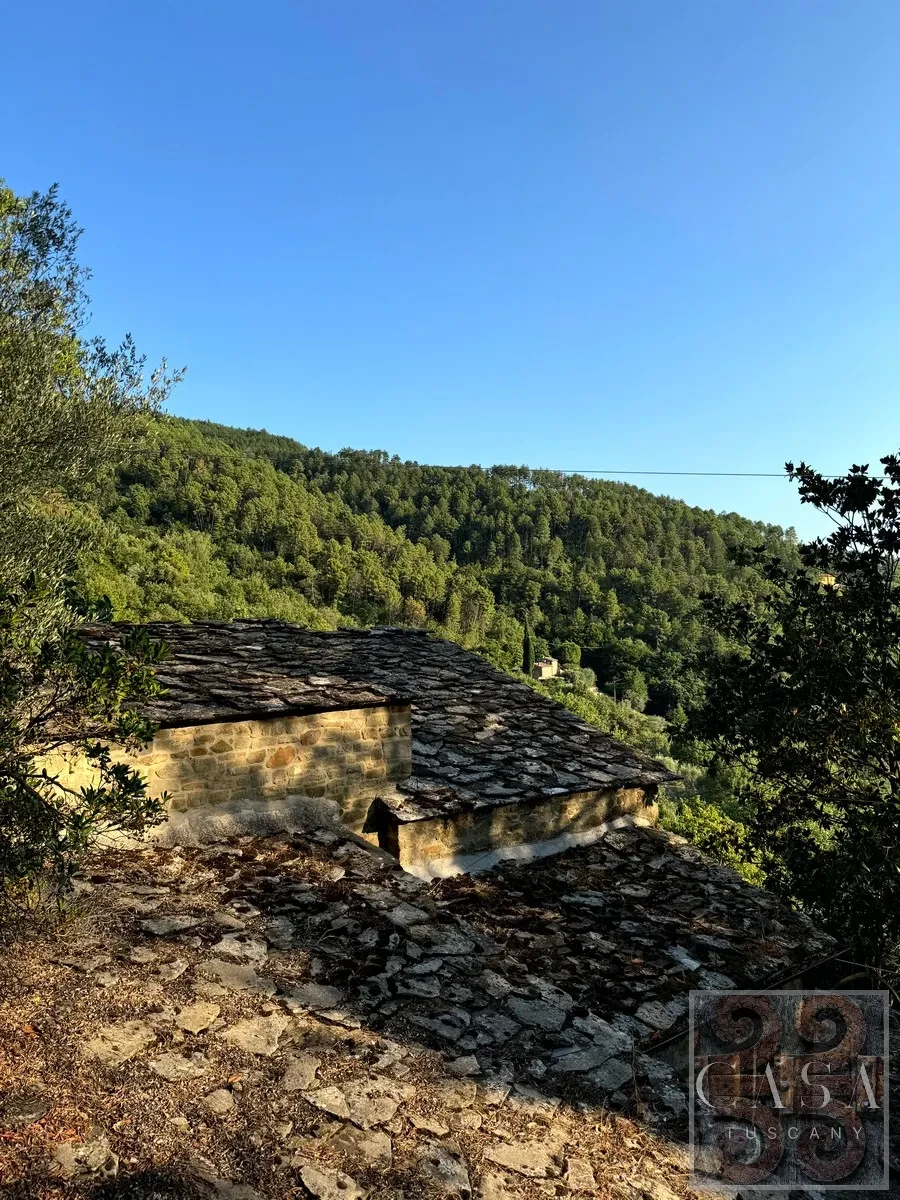 Tuscan Farmhouse with Expansive Gardens and Pool near Cortona - View image 27 of 30
