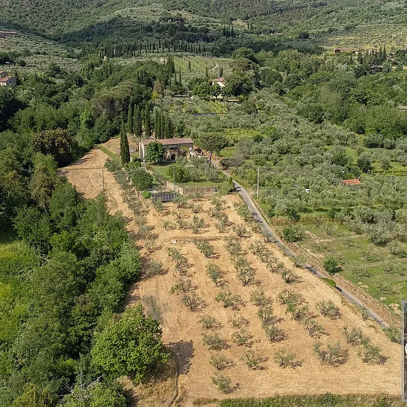 View image 4