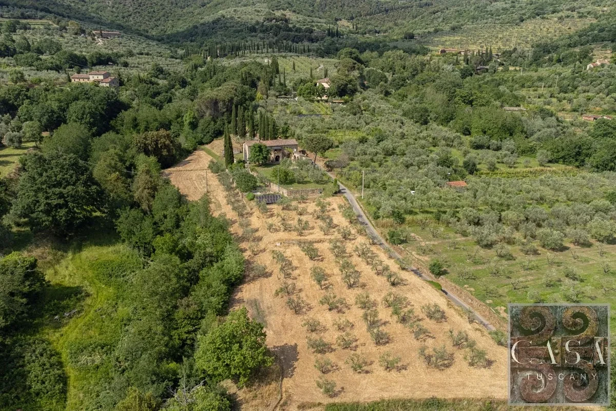 Tuscan Farmhouse with Pool and Olive Grove Near Cortona - Image 4