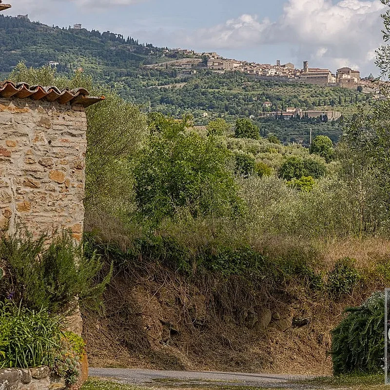 View image 8