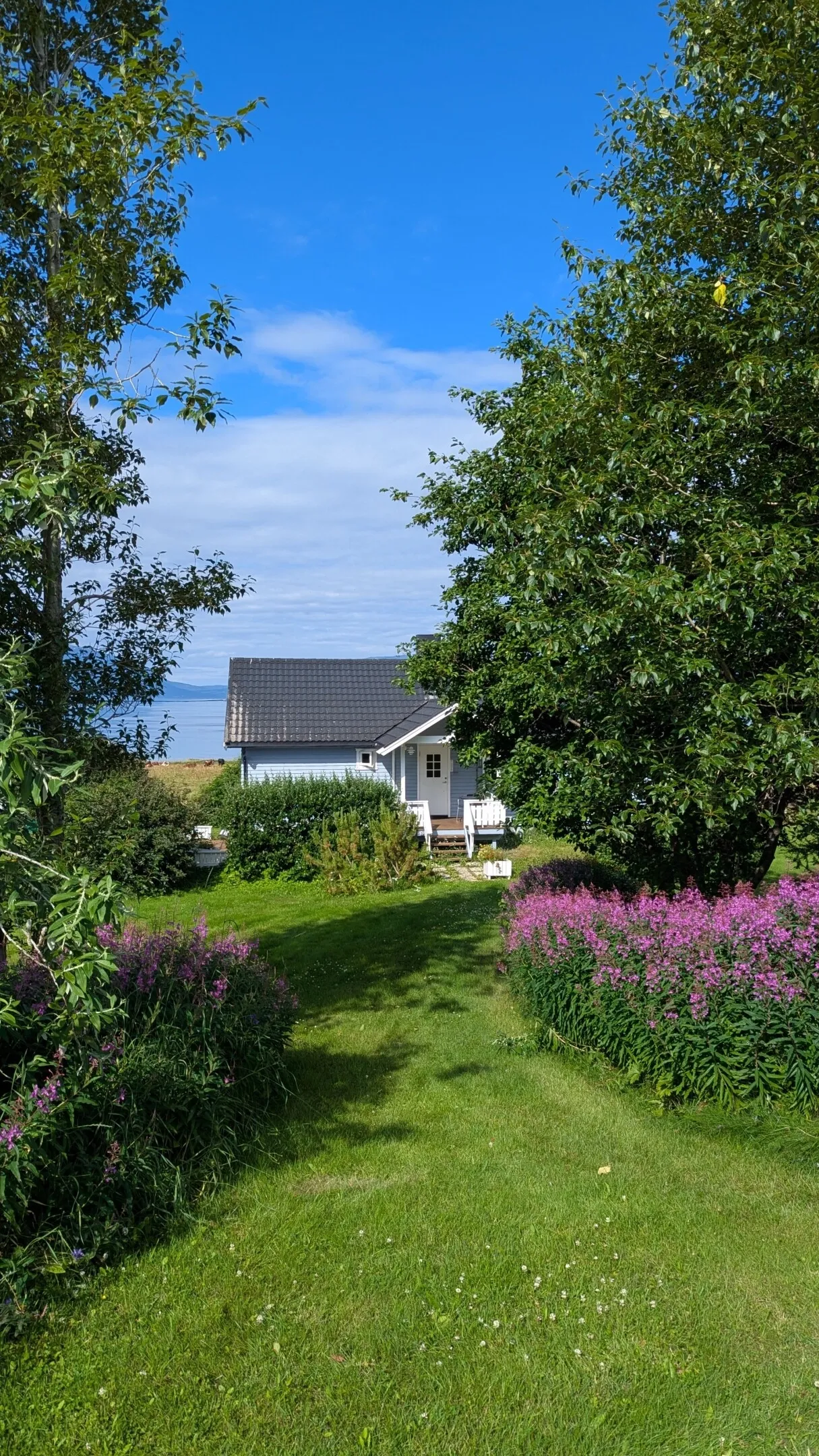 1960s Cabin in Svensby: Expansive Grounds and Outdoor Living - View image 30 of 37
