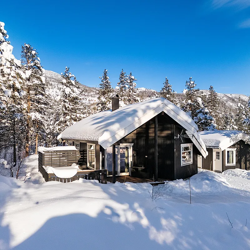 Contemporary 3-Bedroom House with Terrace in Scenic Hol, Norway