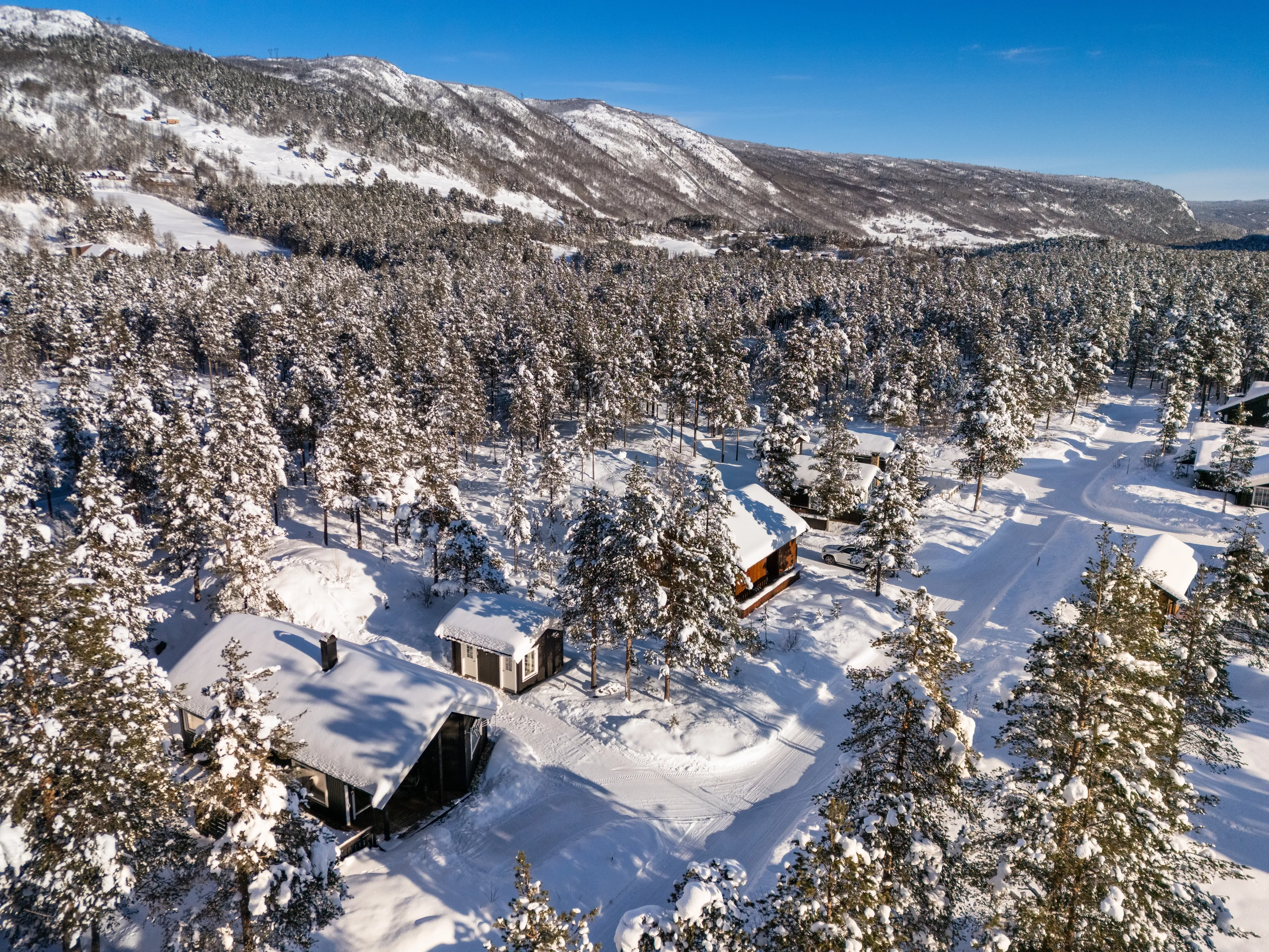 Contemporary 3-Bedroom House with Terrace in Scenic Hol, Norway - Image 2