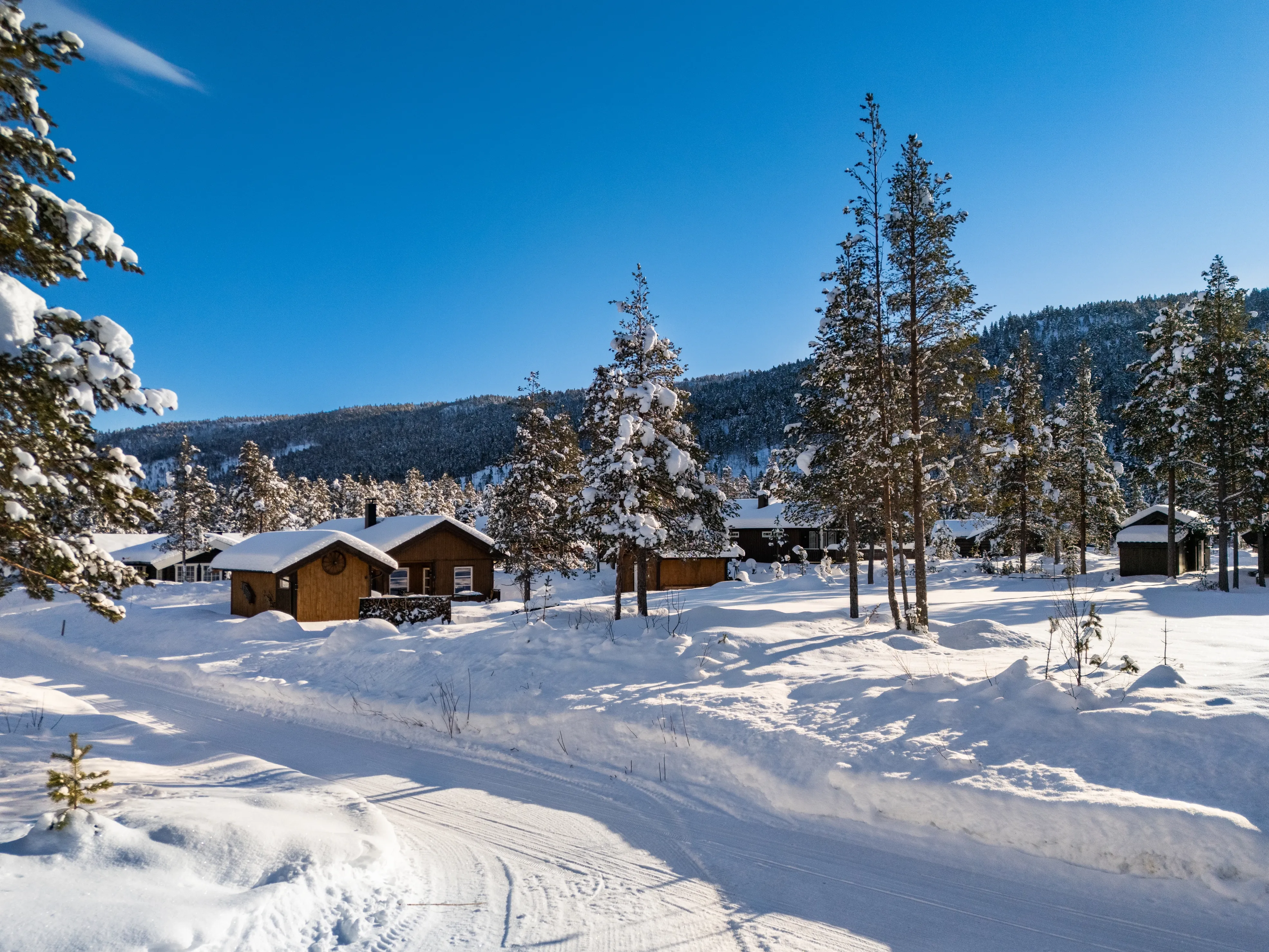 Contemporary 3-Bedroom House with Terrace in Scenic Hol, Norway - View image 29 of 41