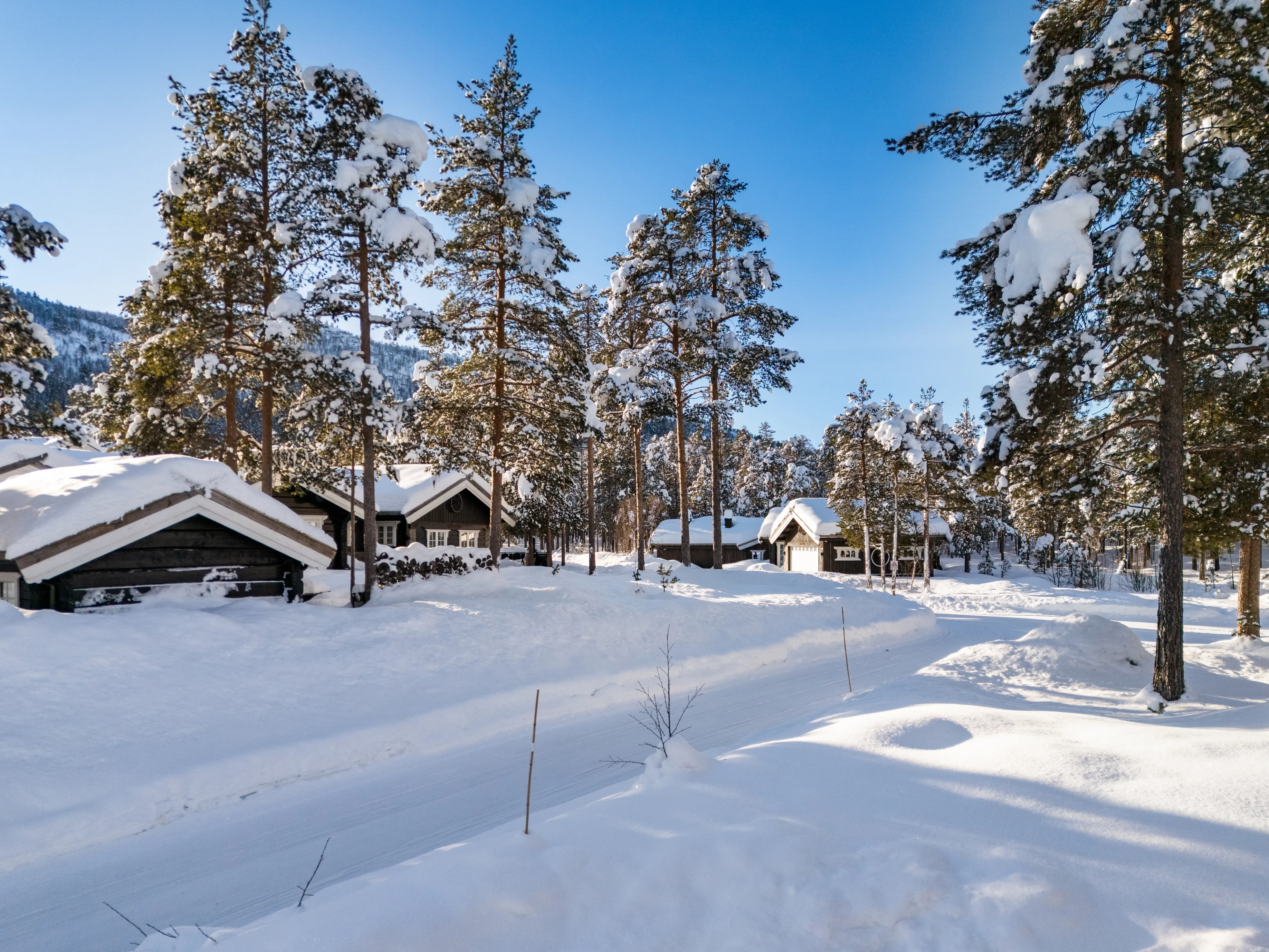 Contemporary 3-Bedroom House with Terrace in Scenic Hol, Norway - View image 31 of 41