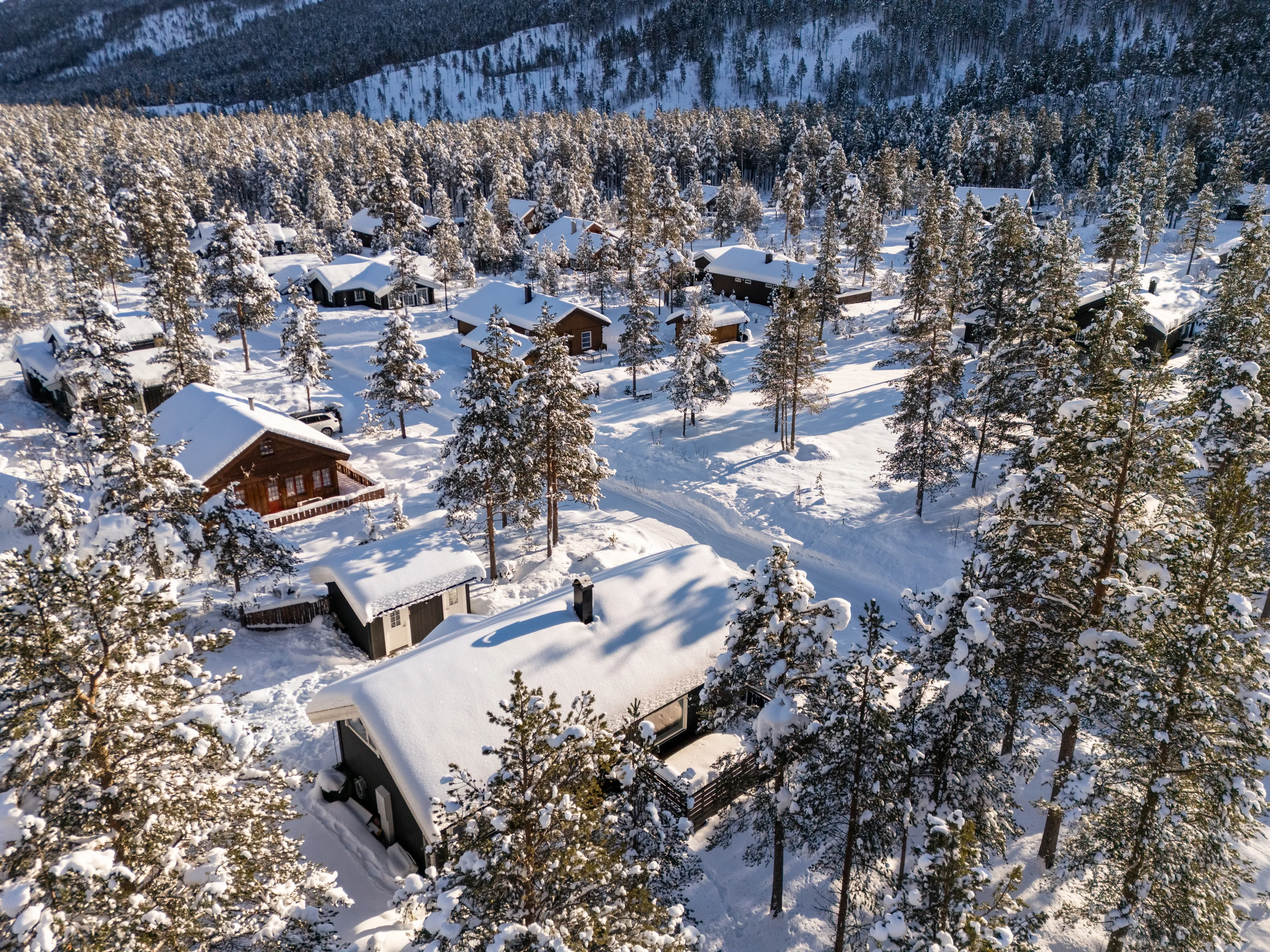 Contemporary 3-Bedroom House with Terrace in Scenic Hol, Norway - View image 35 of 41