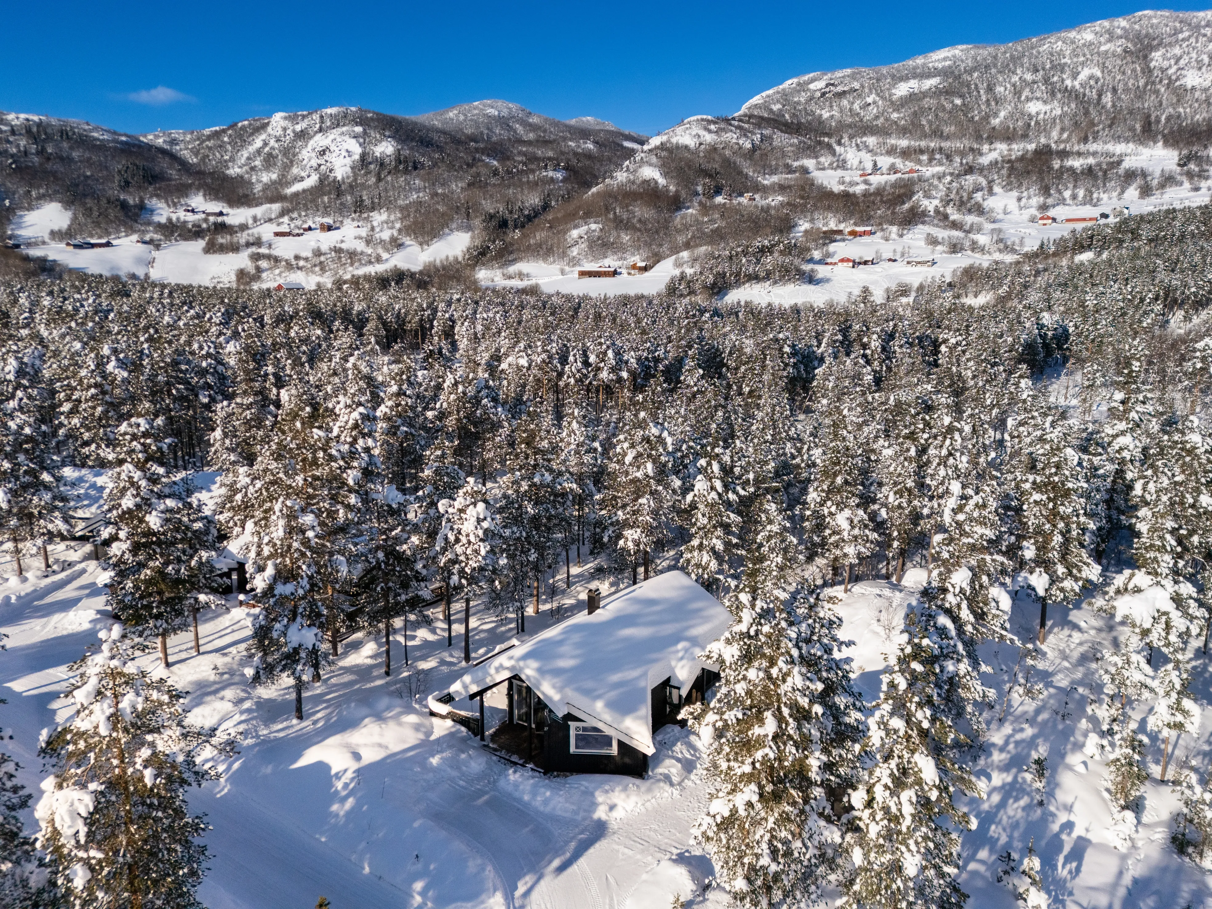 Contemporary 3-Bedroom House with Terrace in Scenic Hol, Norway - View image 37 of 41