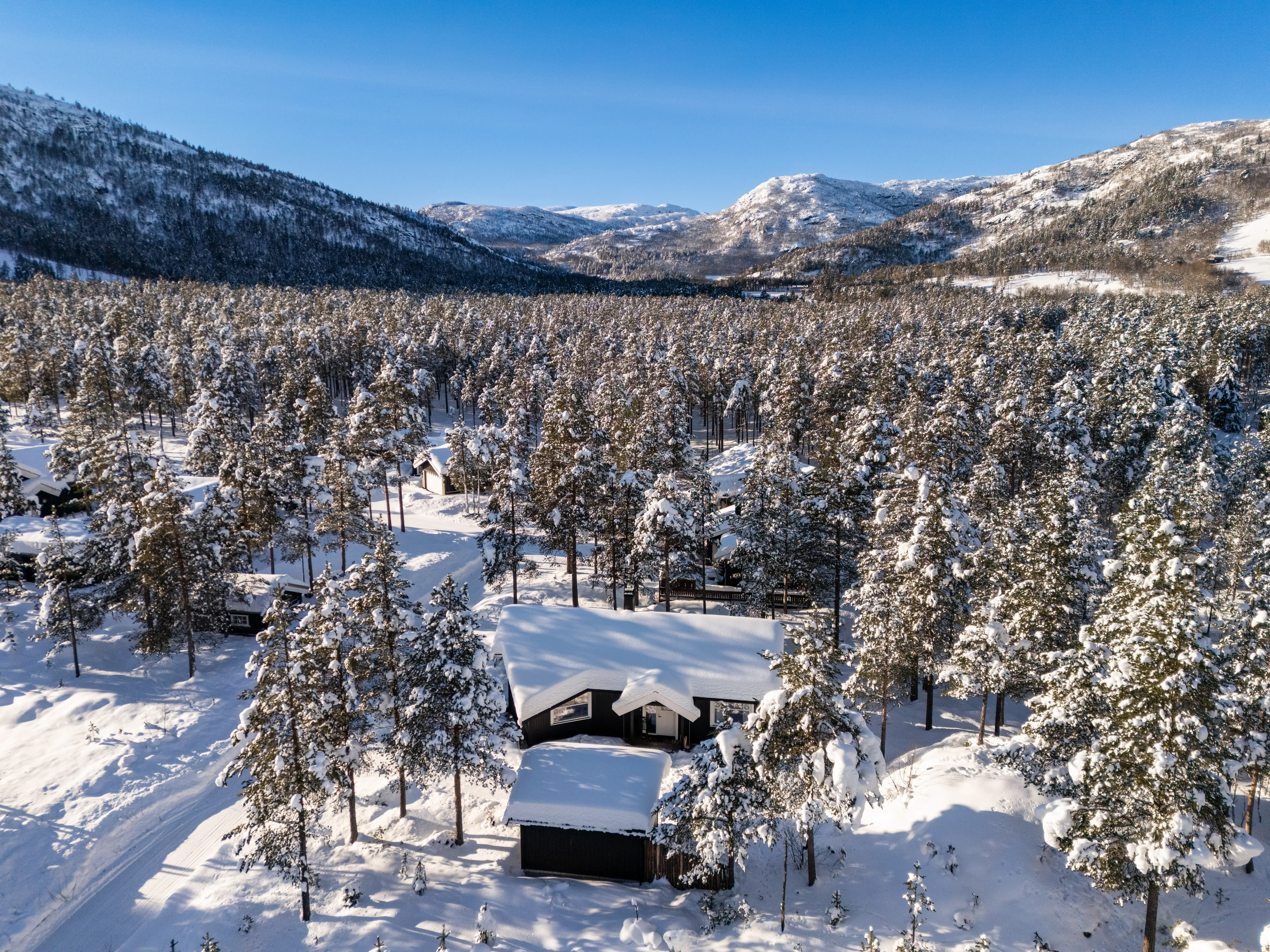 Contemporary 3-Bedroom House with Terrace in Scenic Hol, Norway - View image 39 of 41