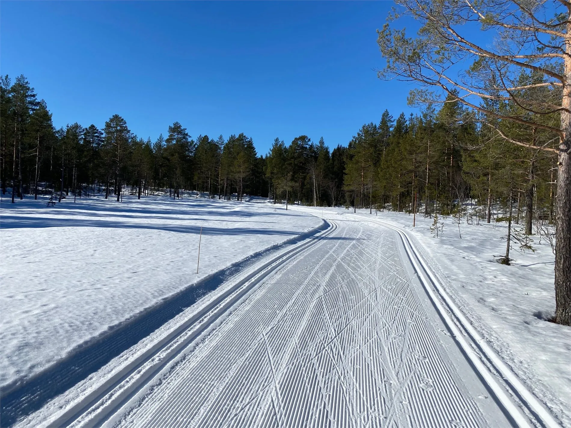 1960s Cabin with Expansive Grounds and Terrace in Scenic Hakadal, Norway - View image 20 of 40