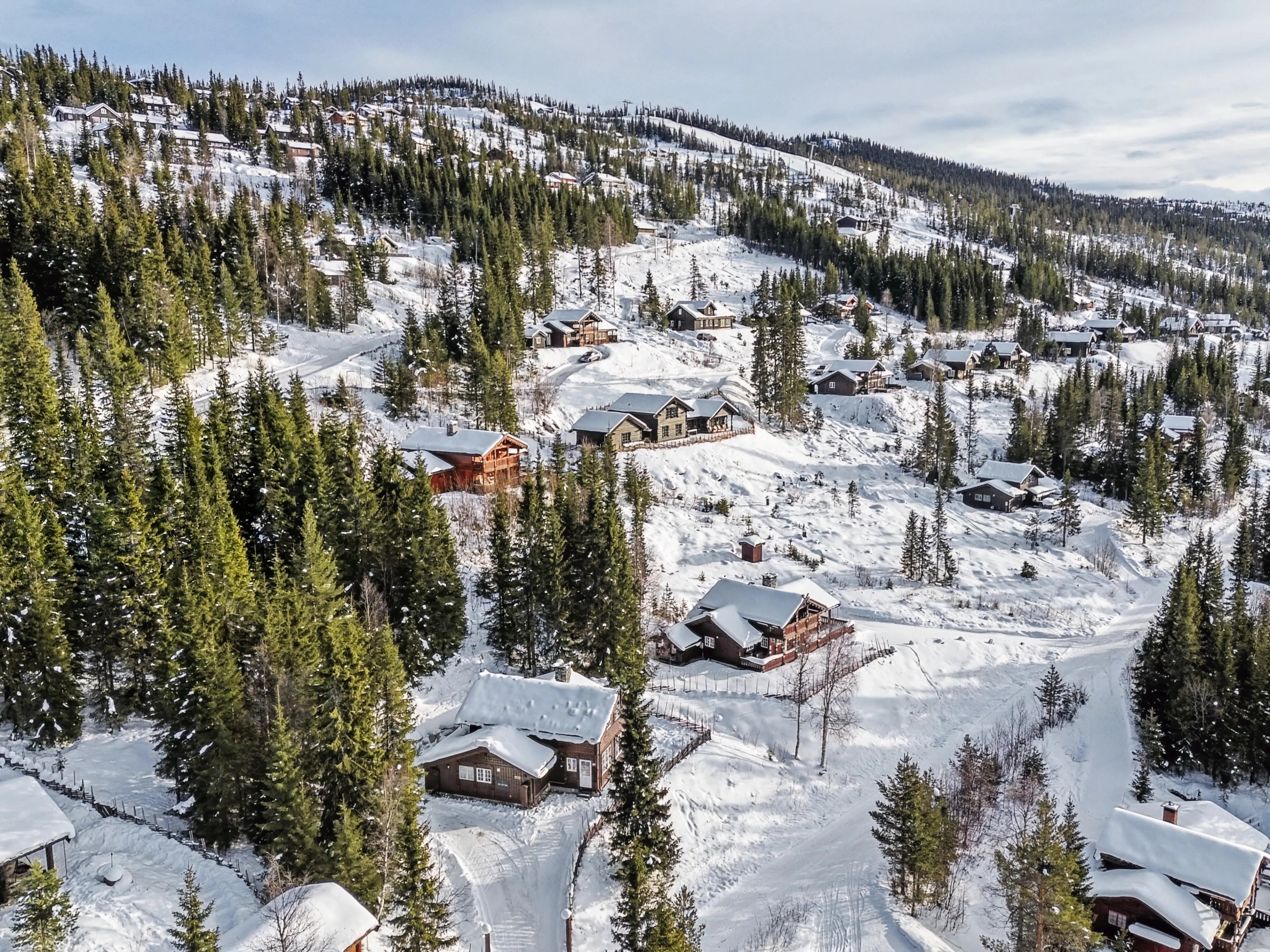 Spacious 5-Bedroom Cabin Near Nesfjellet Ski Centre, Norway - Image 4