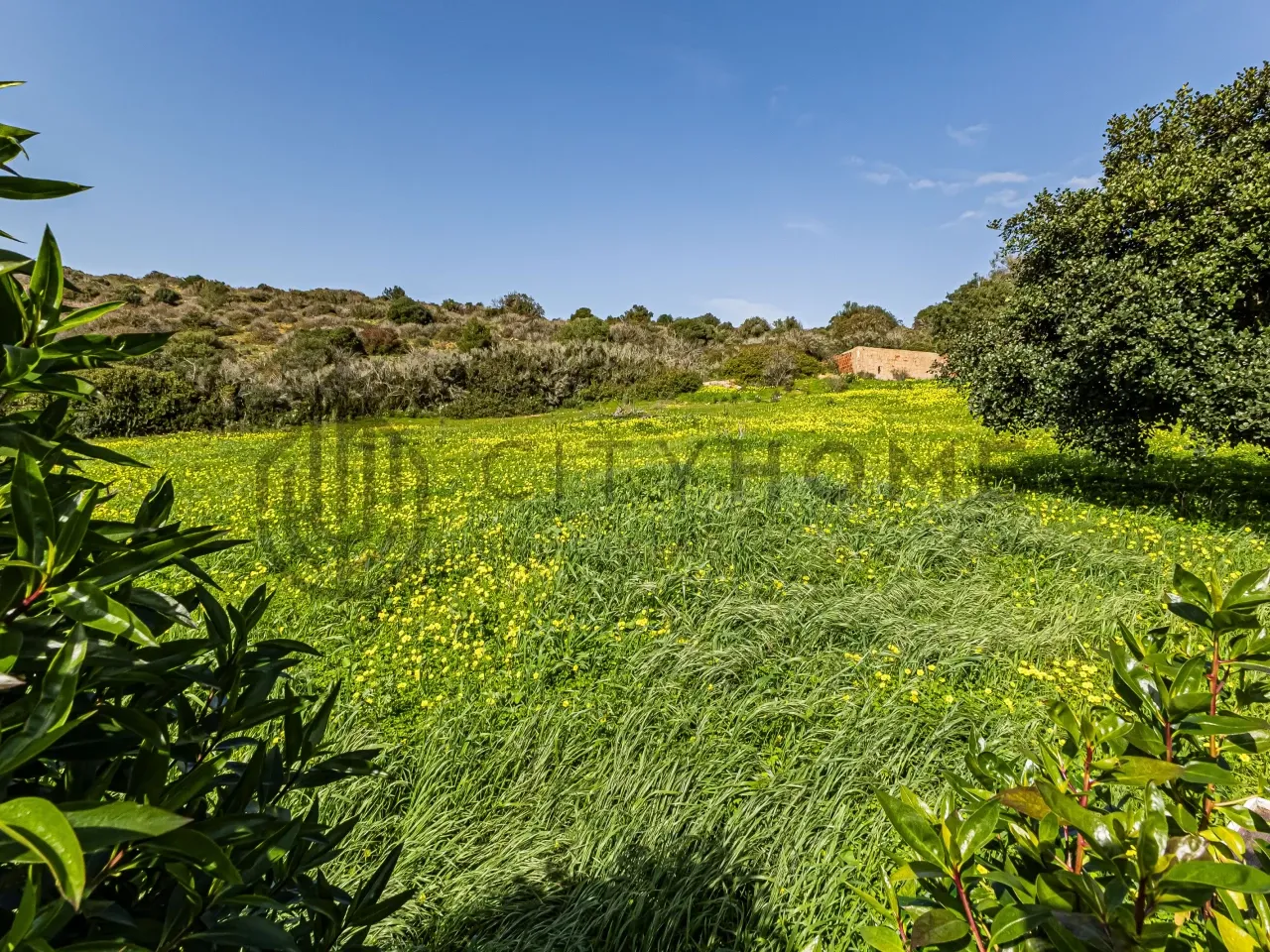 3-Bedroom House with Garden and Separate Apartment in Coastal Burgau, Portugal - View image 46 of 50