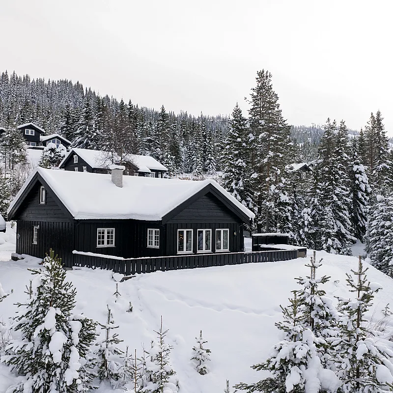 Contemporary 5-Bedroom Cabin with Terrace and Jacuzzi in Nesfjellet, Norway