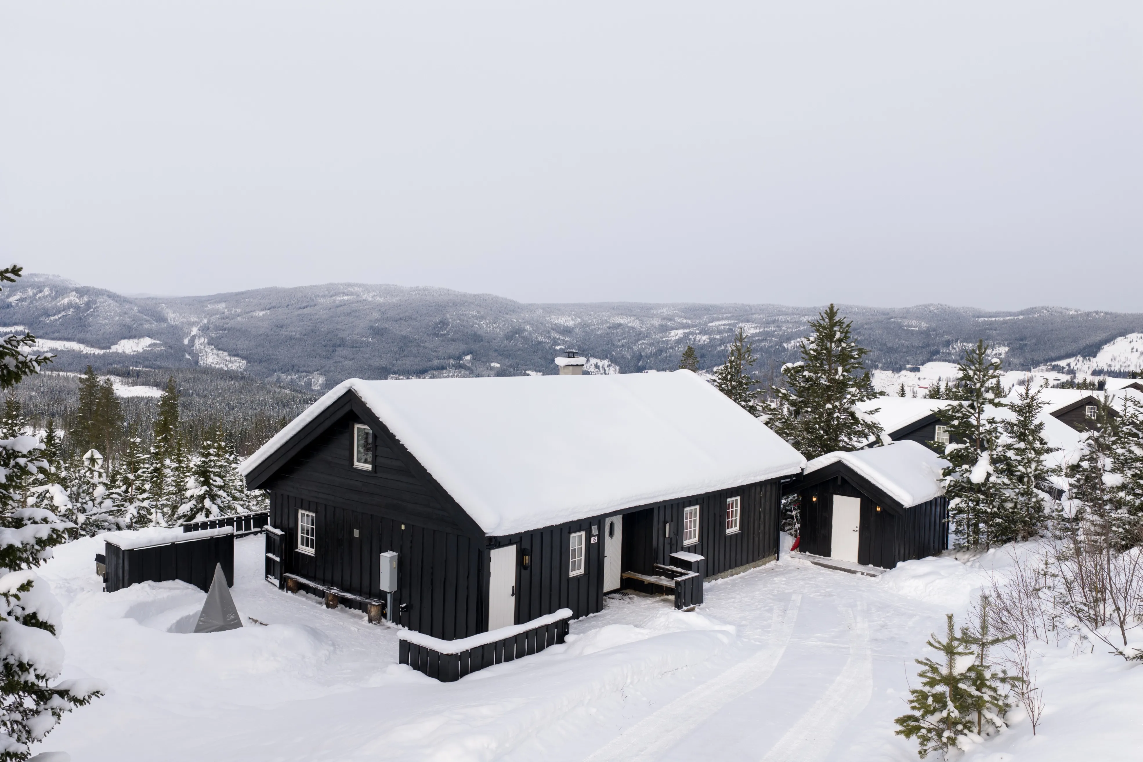 Contemporary 5-Bedroom Cabin with Terrace and Jacuzzi in Nesfjellet, Norway - Image 3