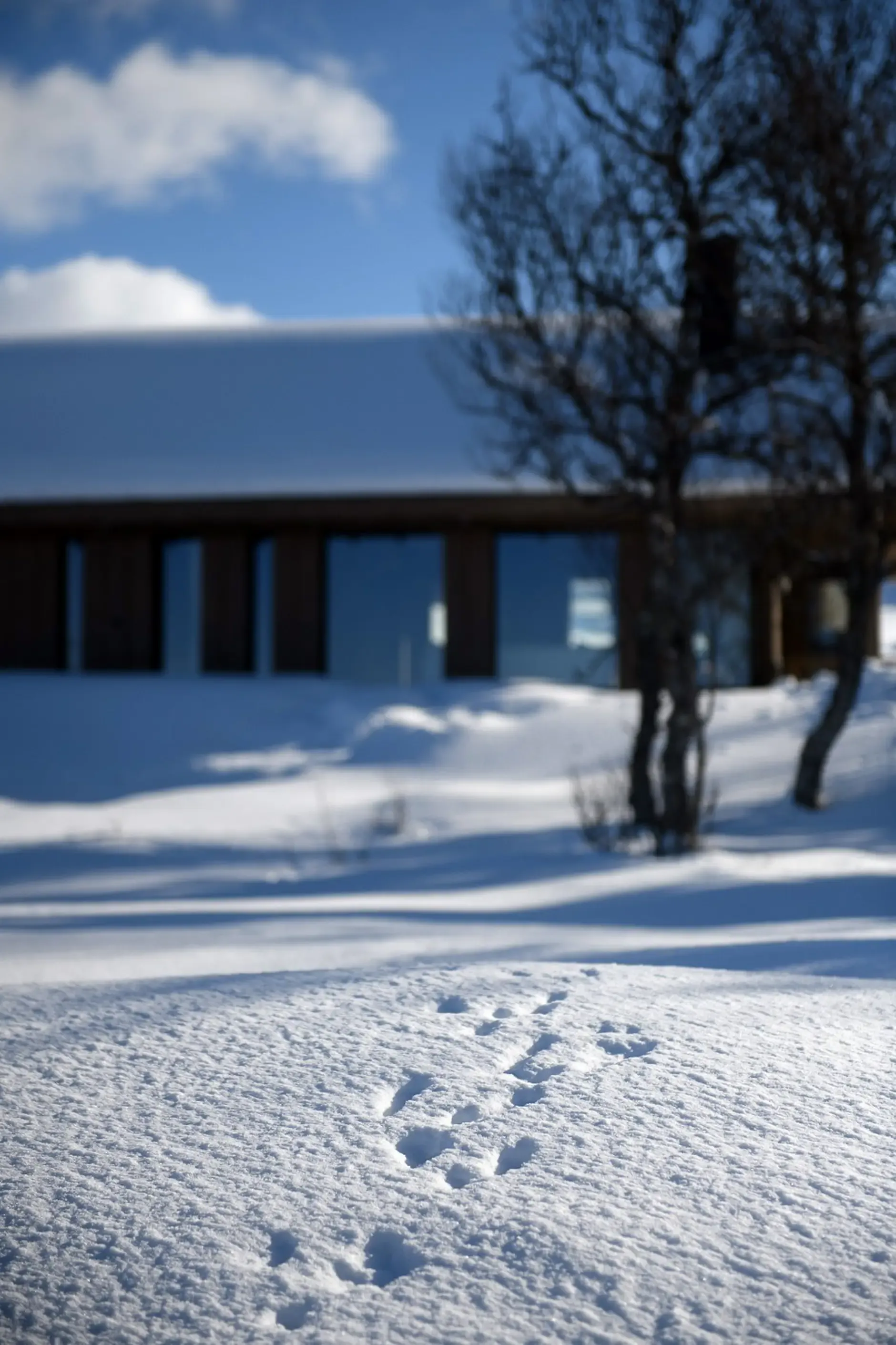 Contemporary 3-Bedroom Cabin with Ski Access in Scenic Øyer, Norway - View image 37 of 38