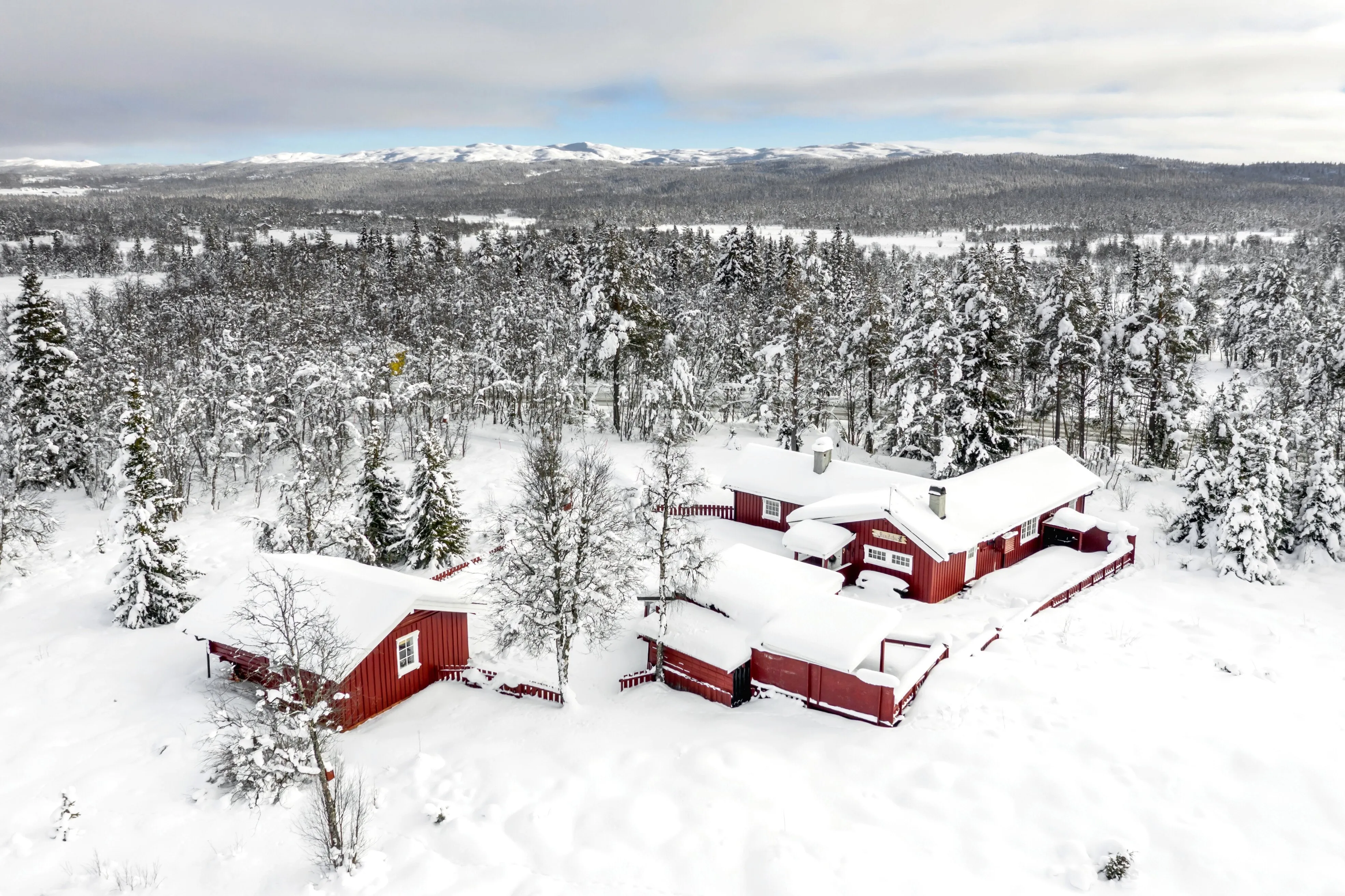 Spacious 1950s Country House in Gol with Expansive Grounds and 4 Bedrooms - Image 1
