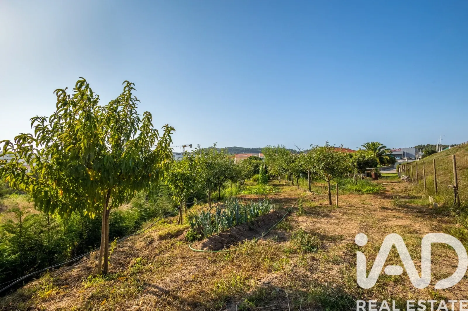 Contemporary 4-Bedroom Home Near São Martinho do Porto Beach with Expansive Gardens - View image 24 of 37