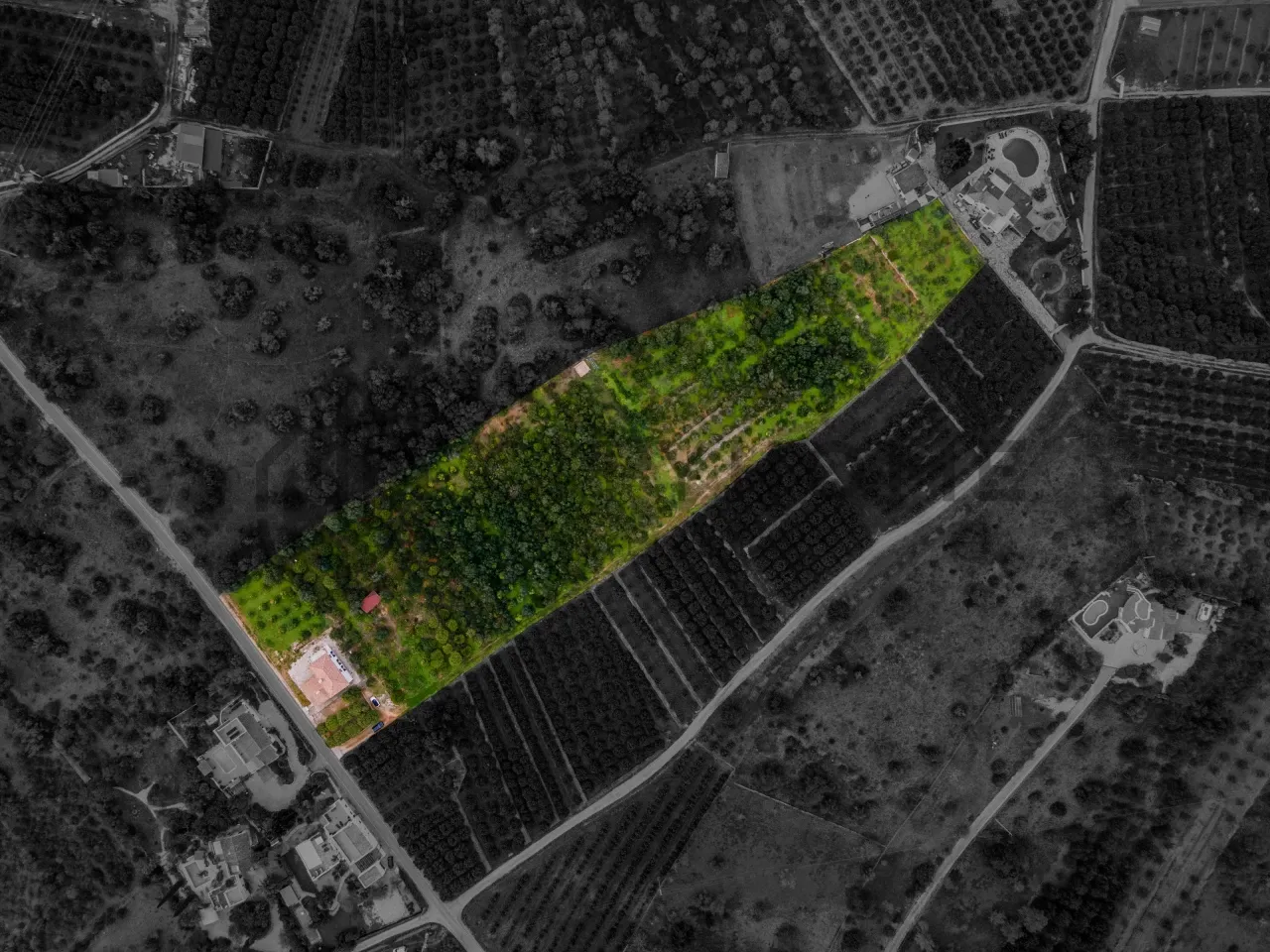 3-Bedroom Algarve House with Expansive Citrus Orchard and Rural Potential - Image 2